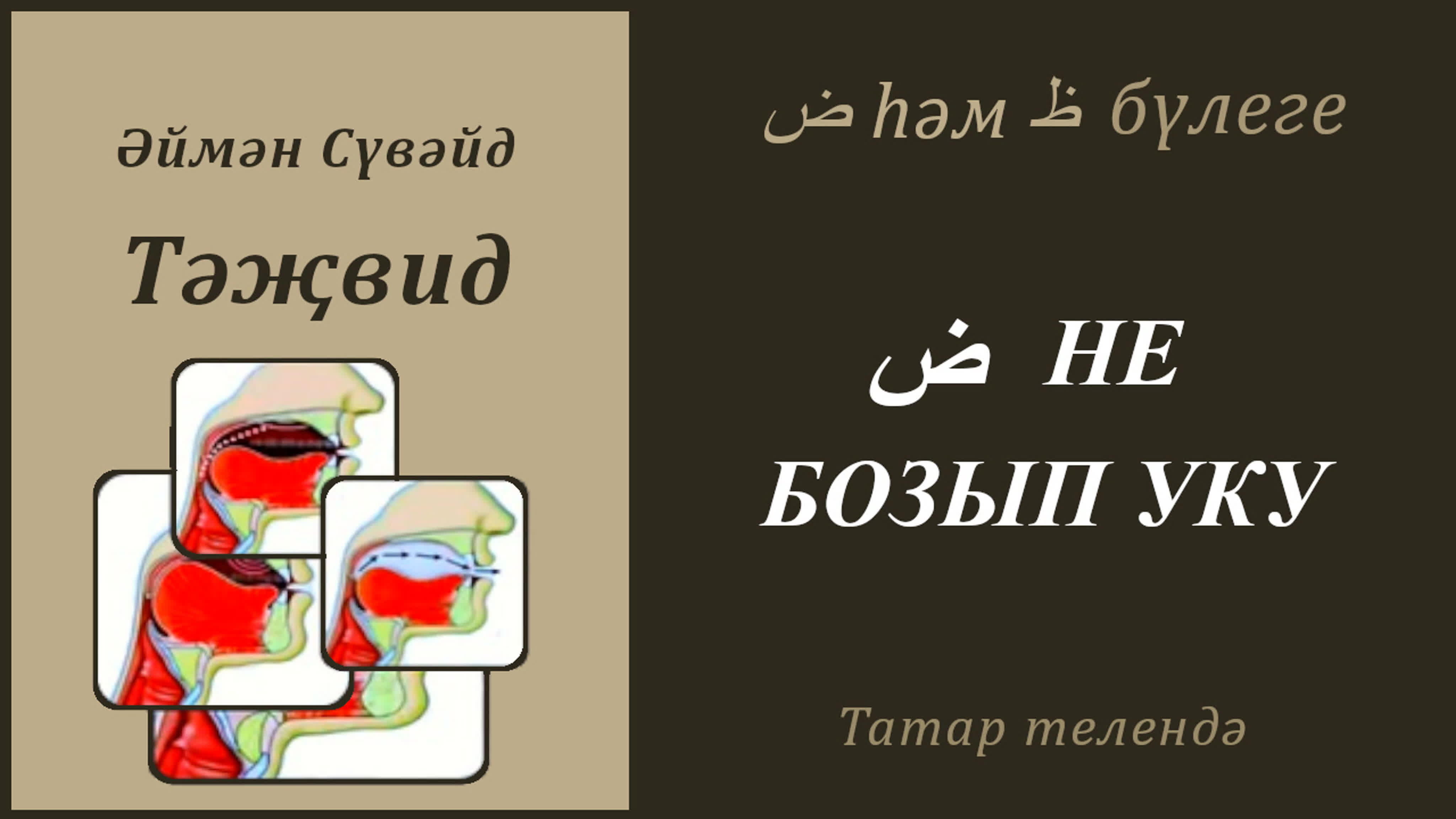 9. Дад һәм За бүлеге (Әймән Сүвәйд)
