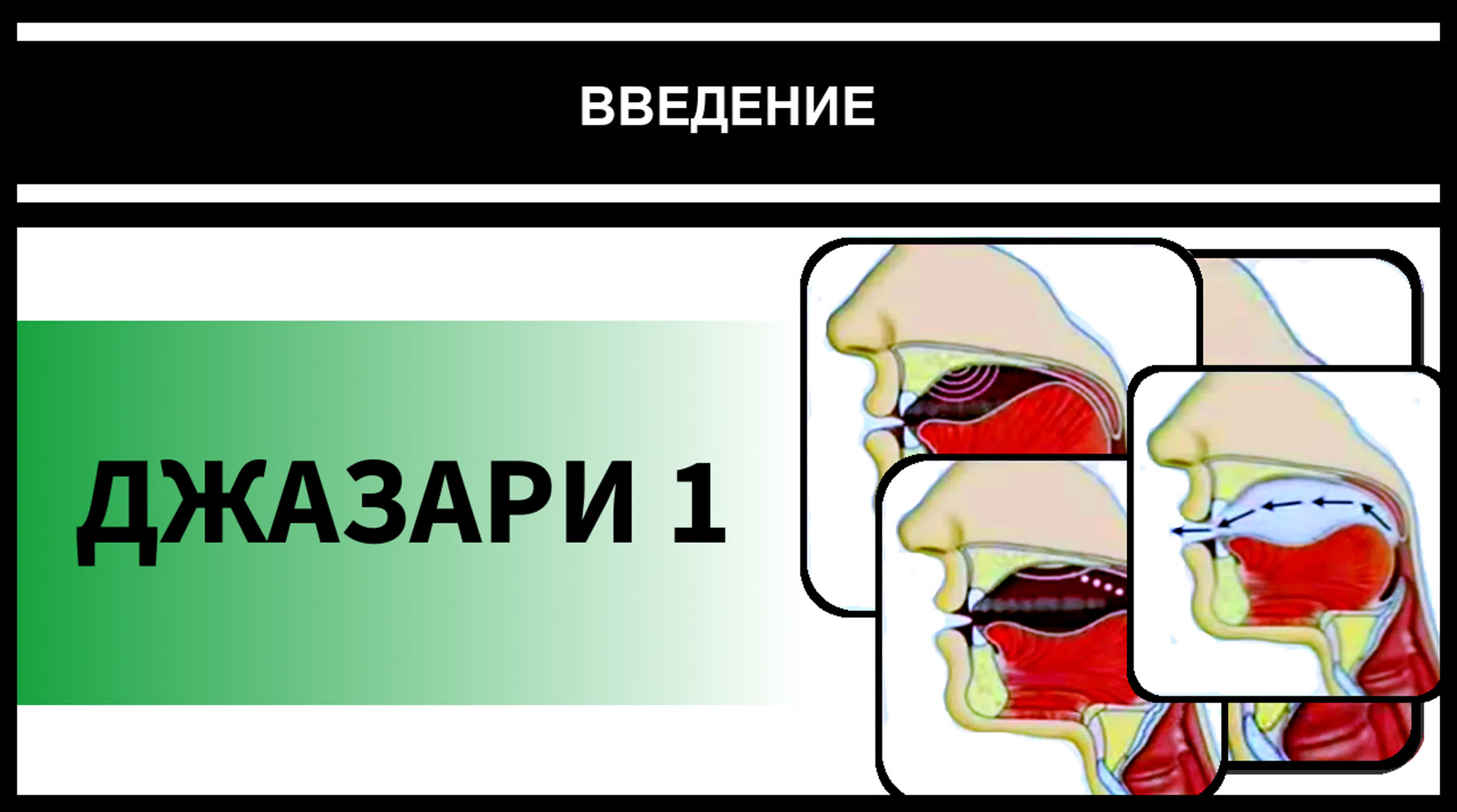 0. Айман Сувейд. Введение