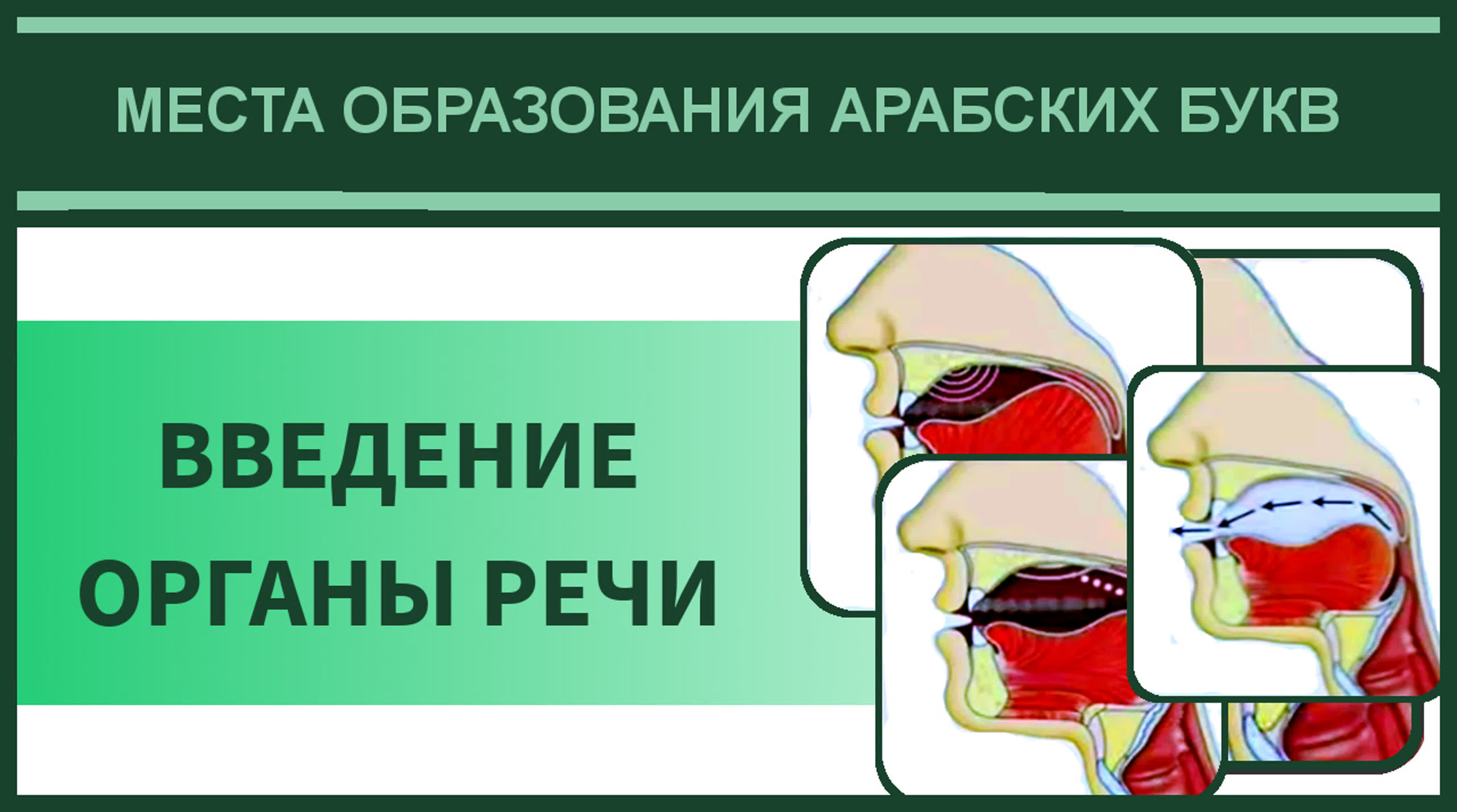 1. Айман Сувейд. Места образования букв