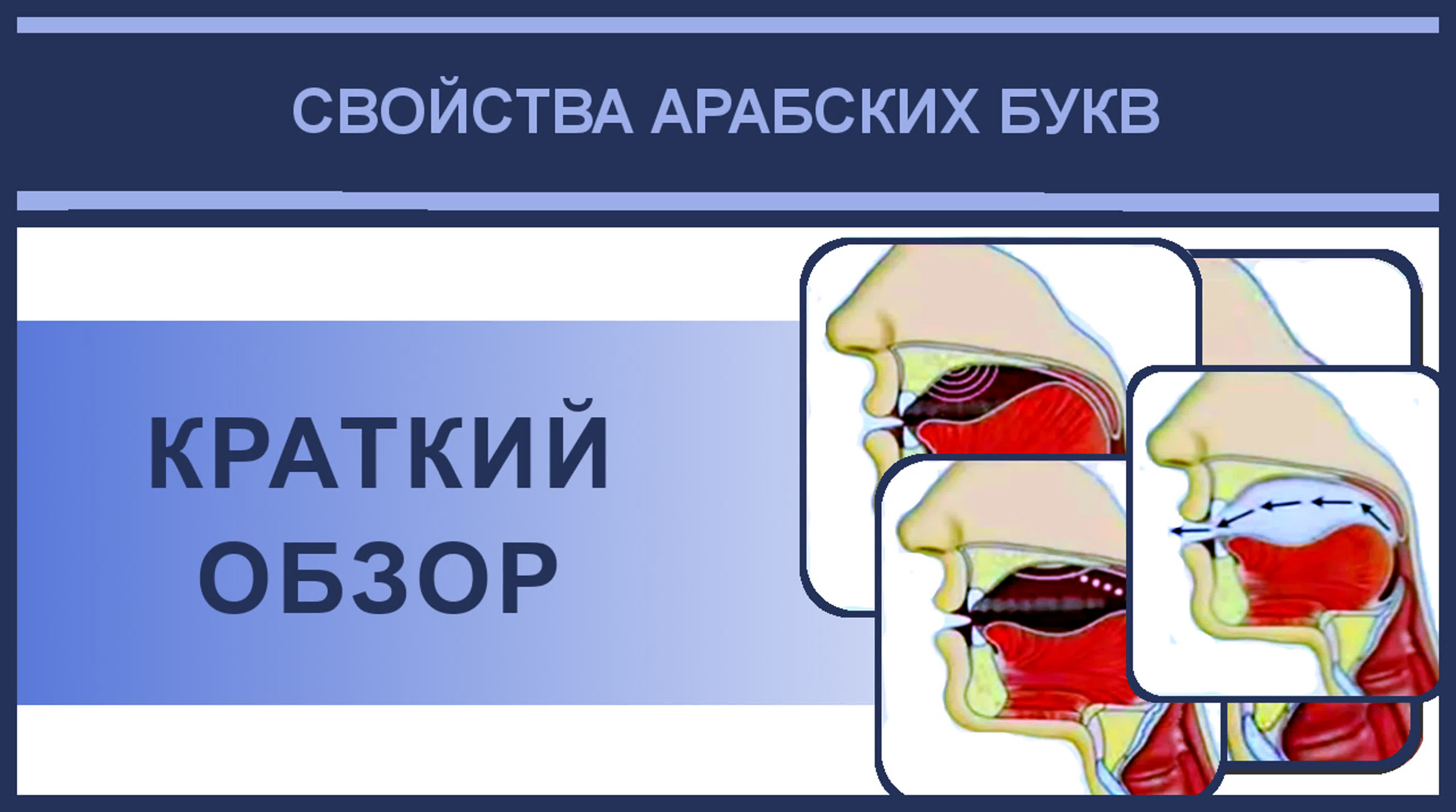 2. Айман Сувейд. Свойства