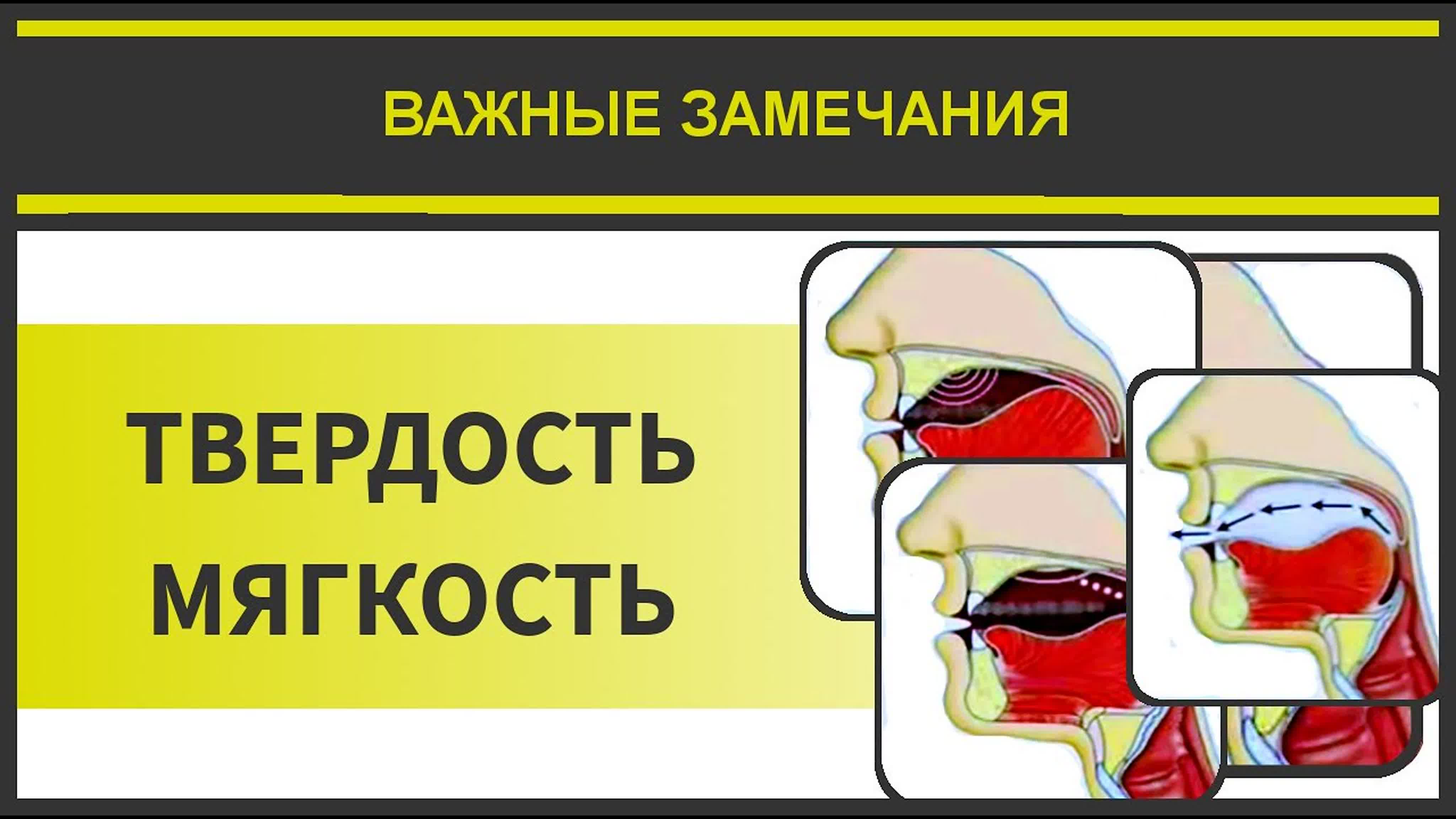 4. Айман Сувейд. Важные замечания