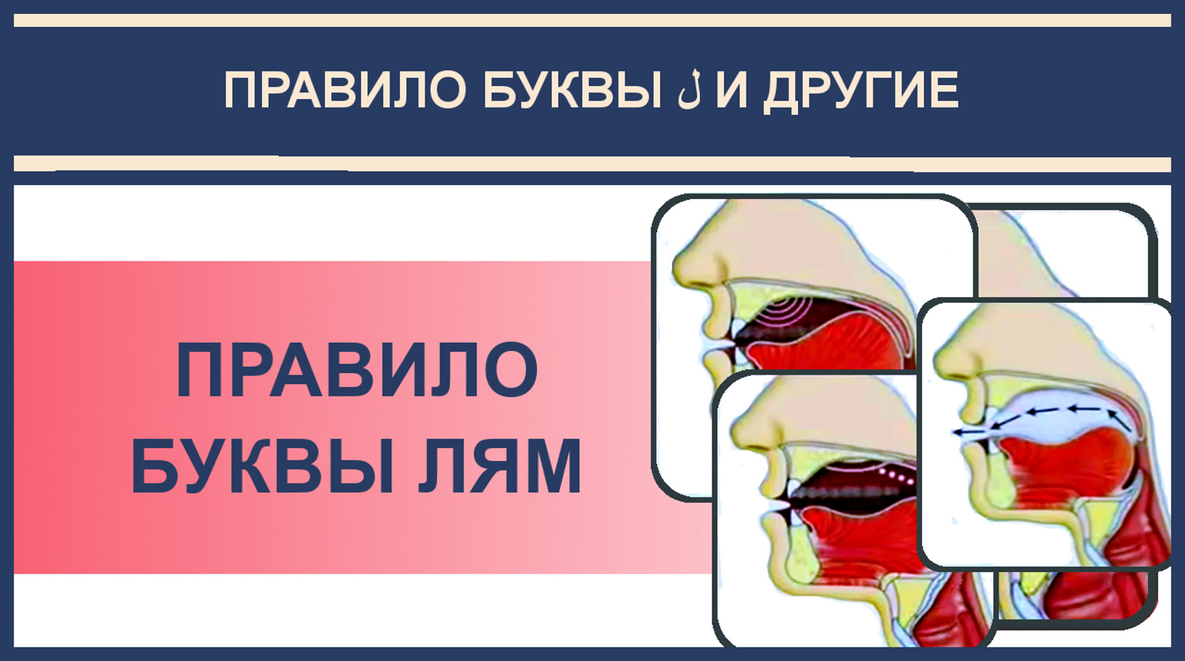 6. Айман Сувейд. Правило Лям и другие
