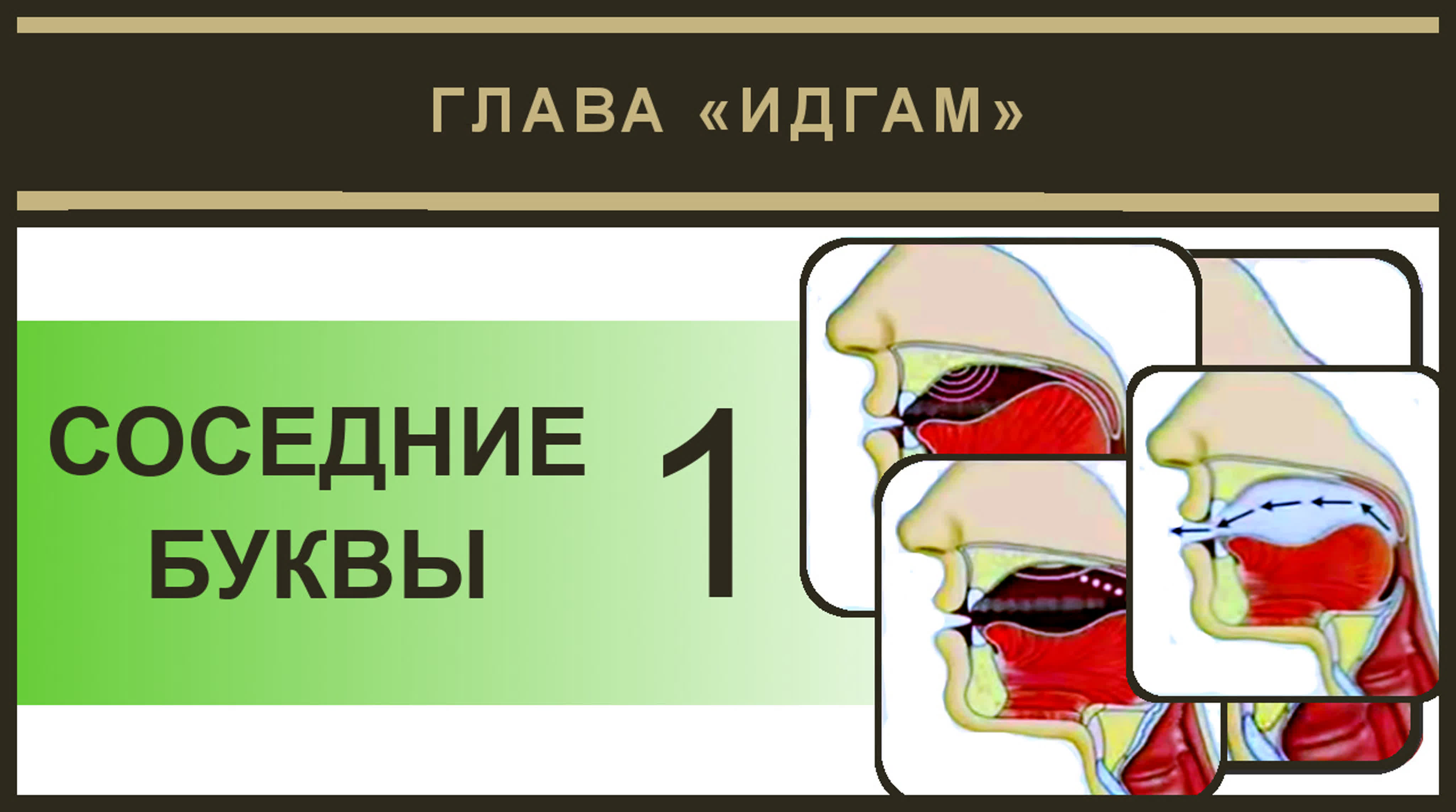7. Айман Сувейд. Идгам