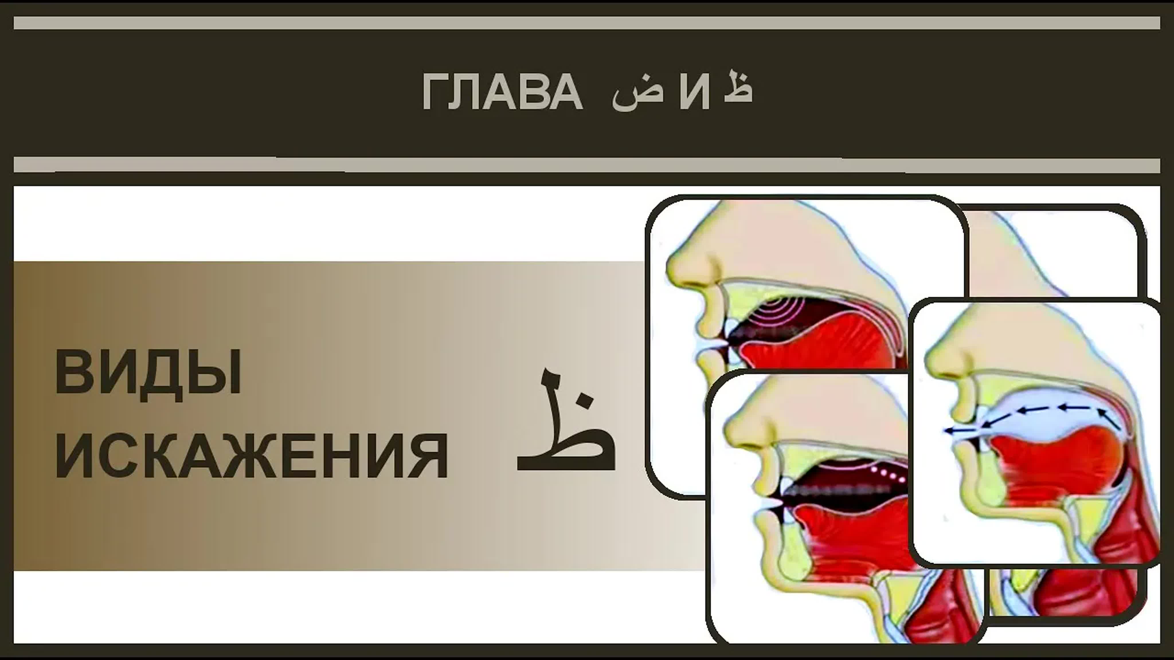 8. Айман Сувейд. Глава ض и ظ