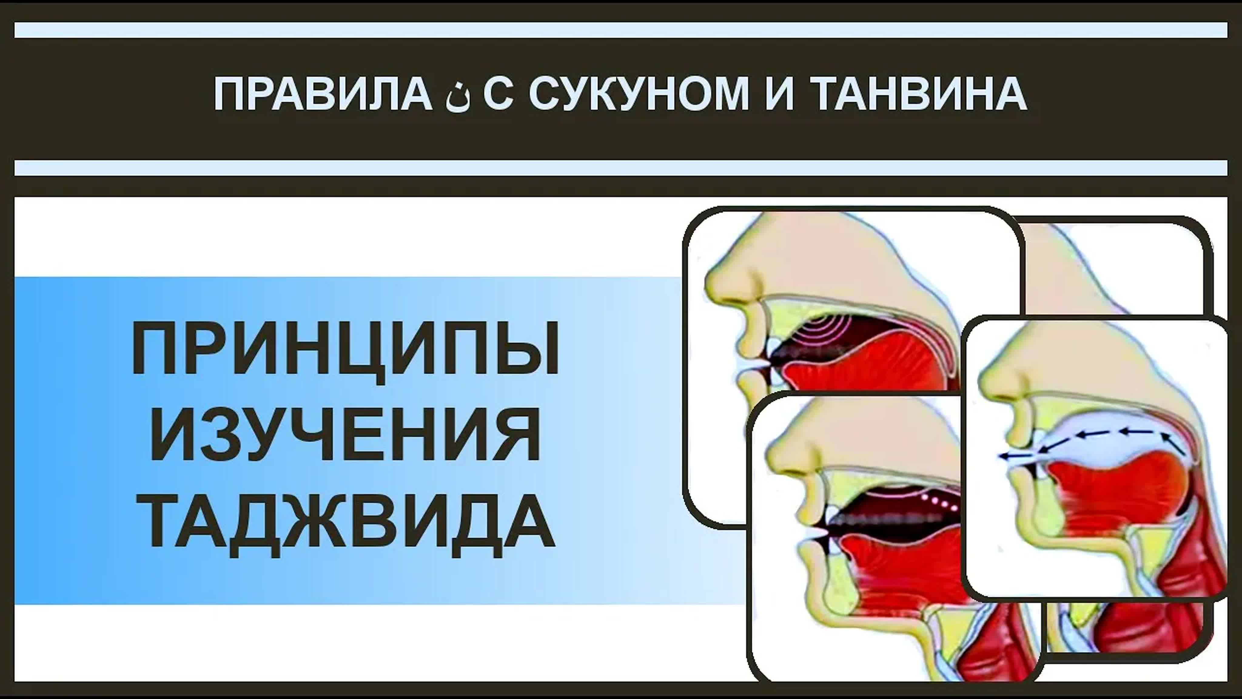 10. Правила Нун с сукуном и танвина