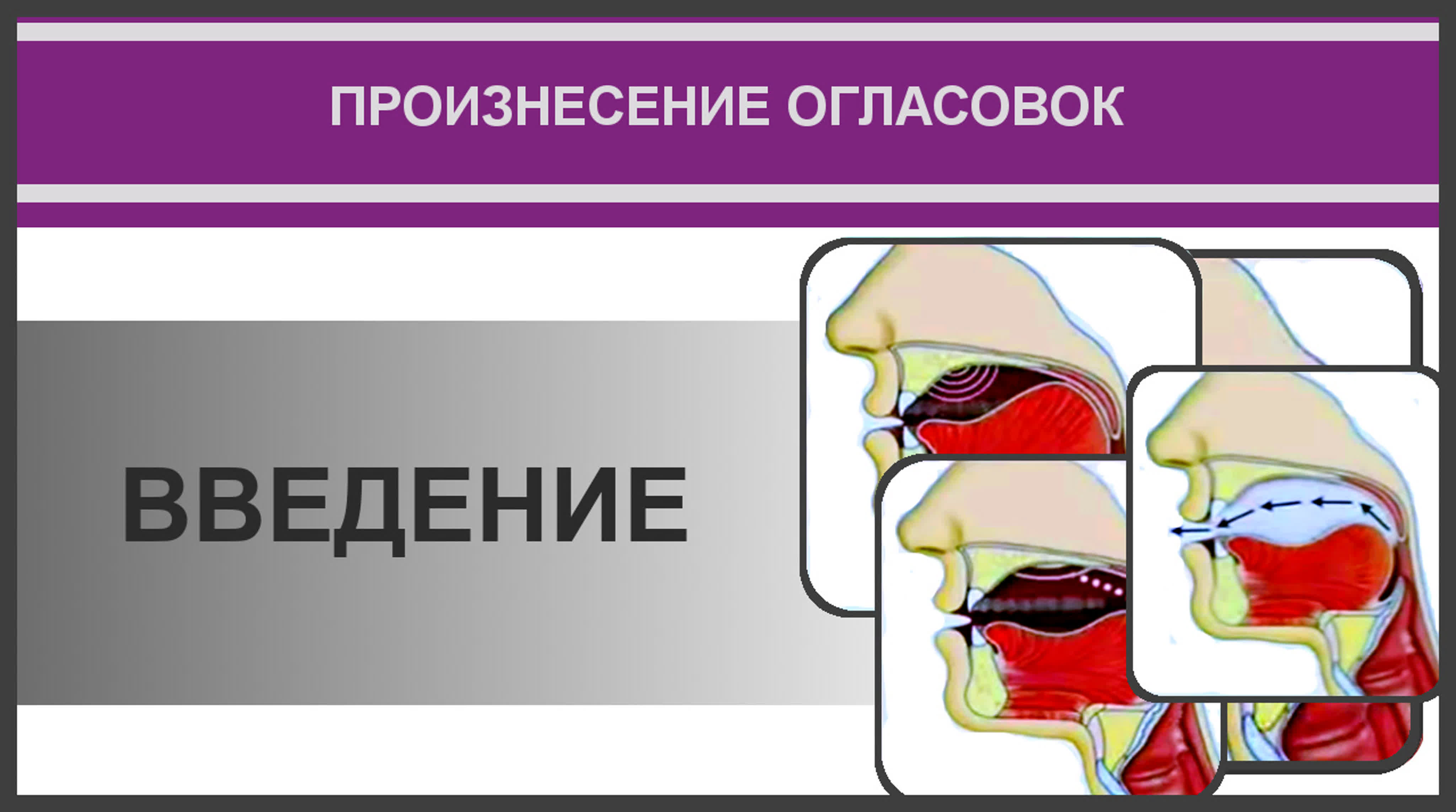 12. Айман Сувейд. Произнесение огласовок