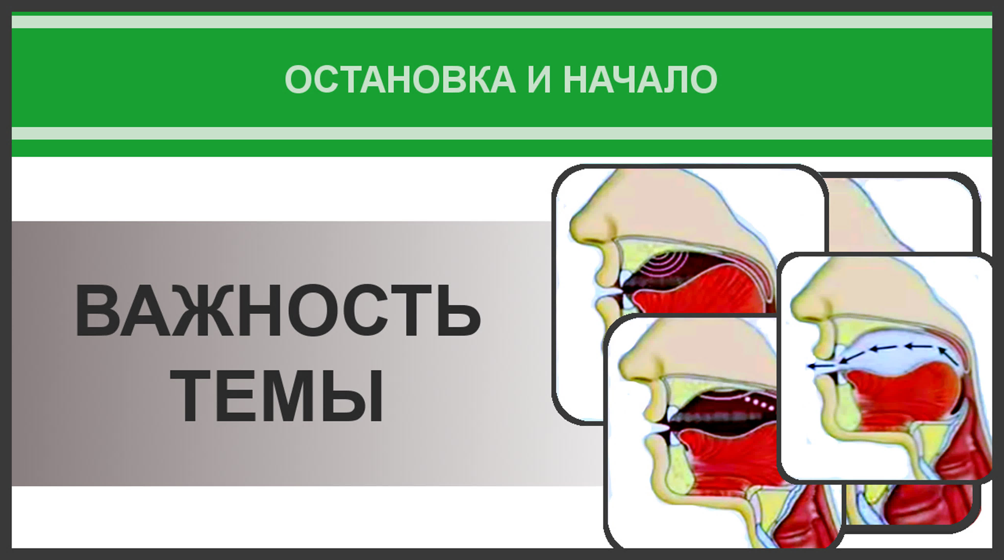 13. Айман Сувейд. Остановка и начало