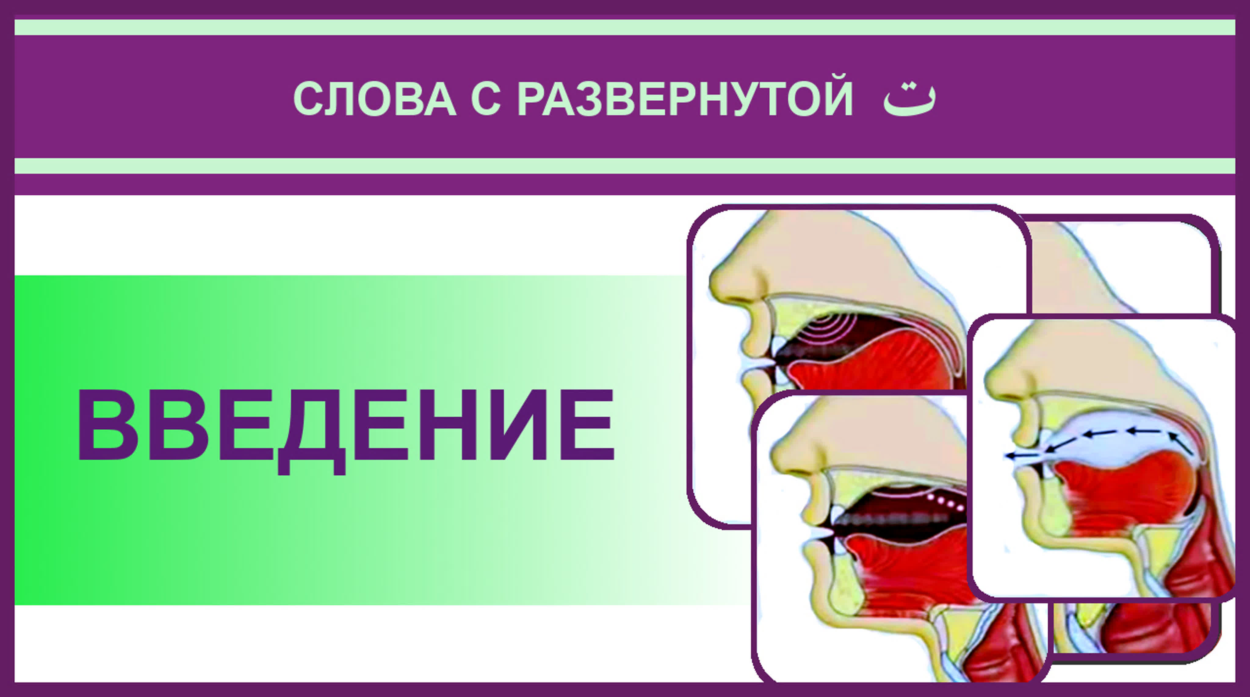 15. Айман Сувейд. Развернутая та