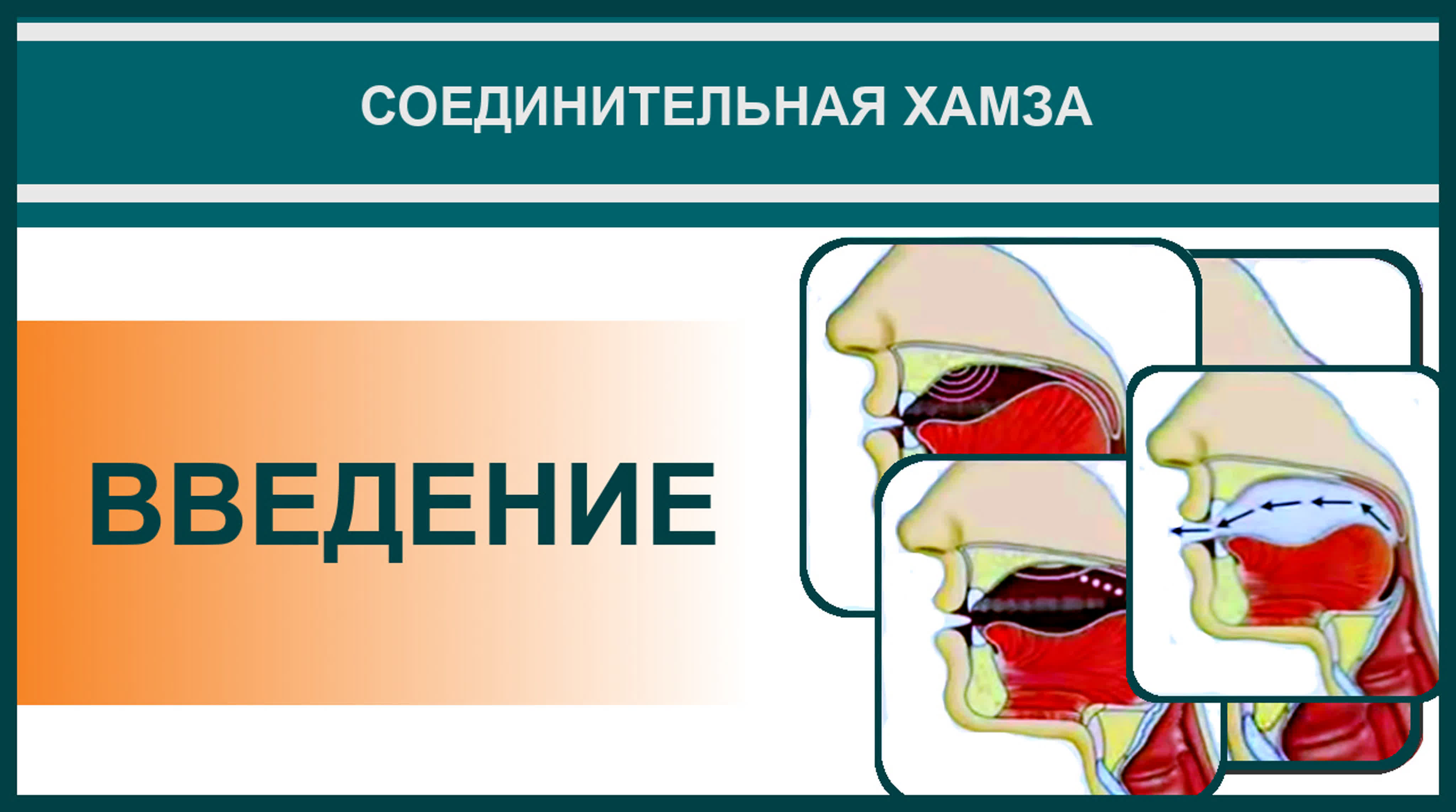 16. Айман Сувейд. Соединительная хамза