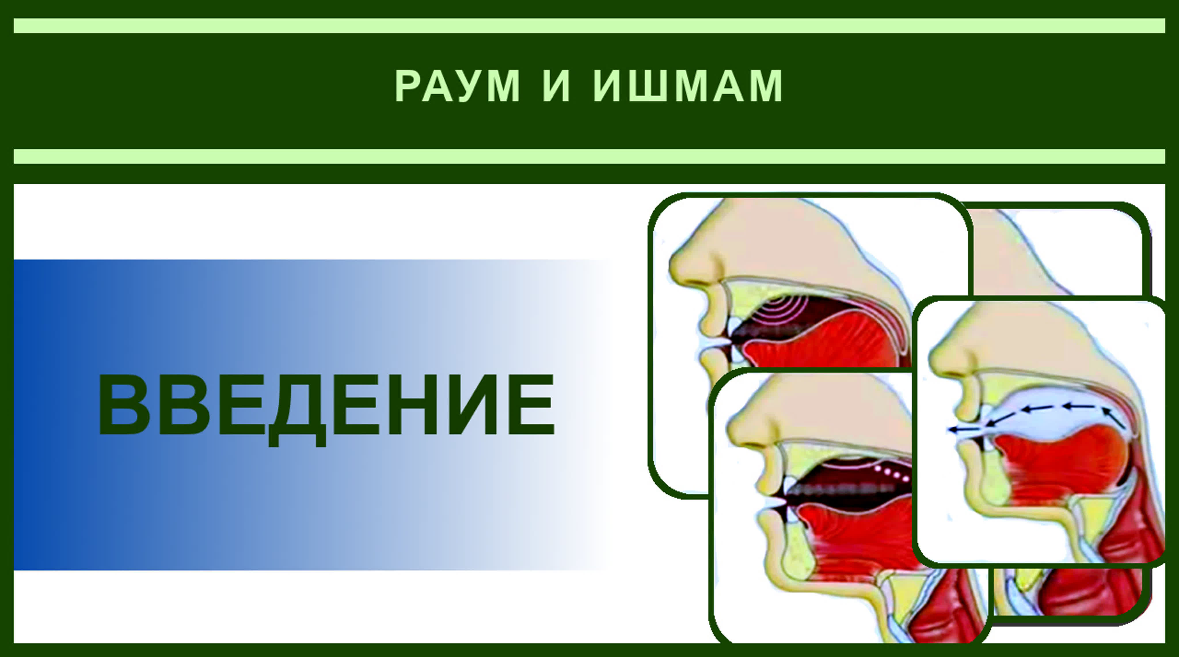 17. Айман Сувейд. Раум и ишмам