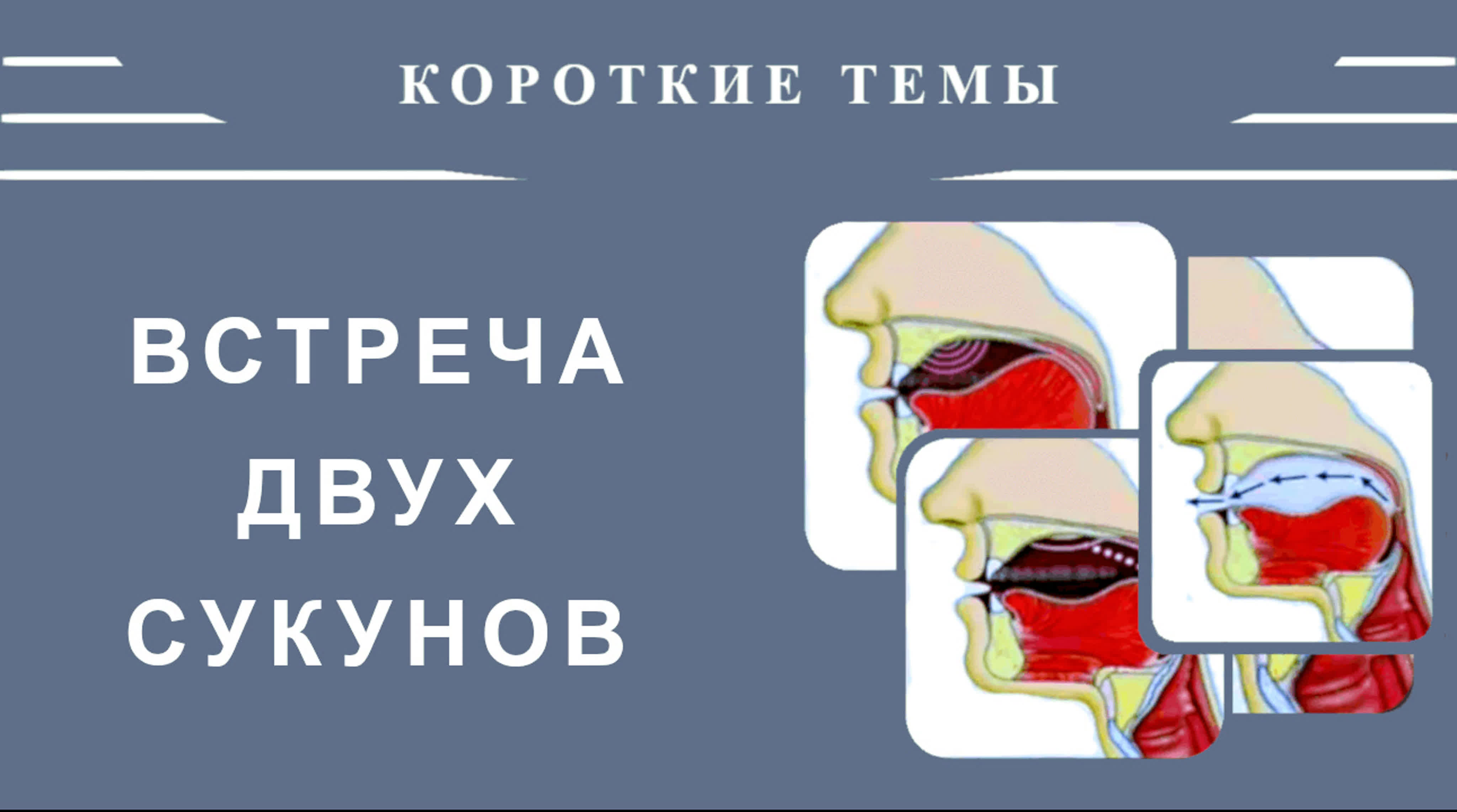 19. Айман Сувейд. Короткие темы