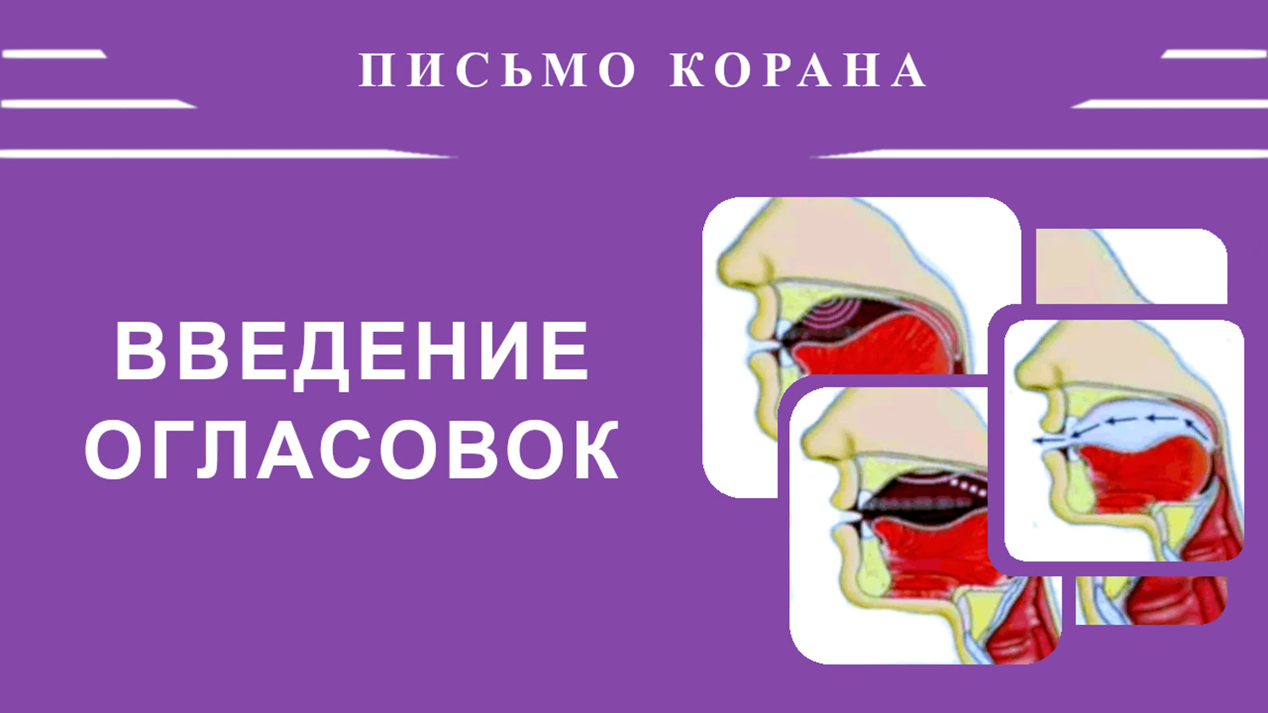 21. Айман Сувейд. Письмо Корана