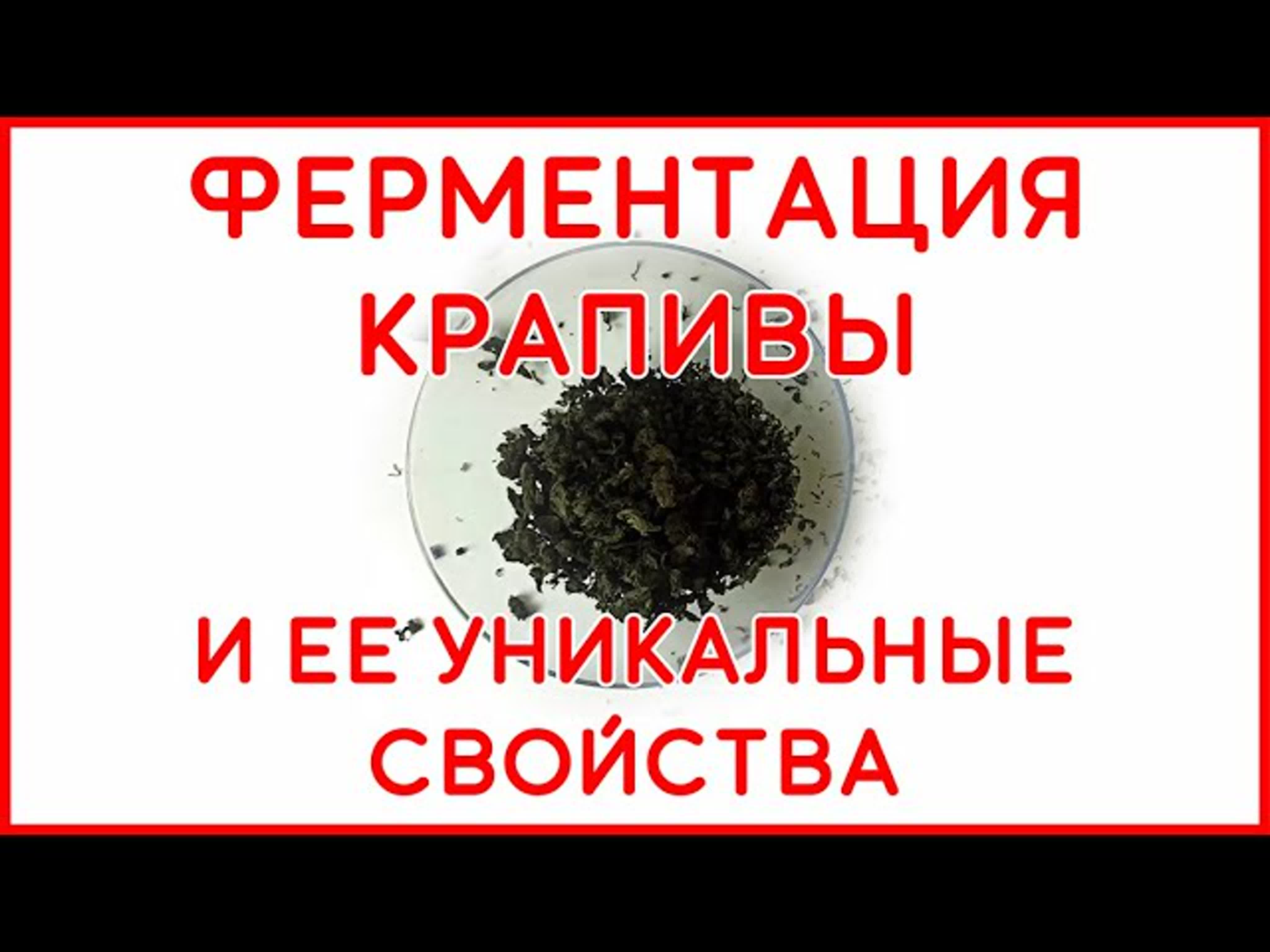 СЪЕДОБНЫЕ ДИКОРОСЫ