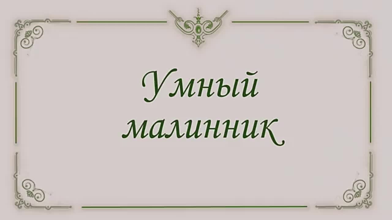 ЯГОДНЫЕ КУСТАРНИКИ