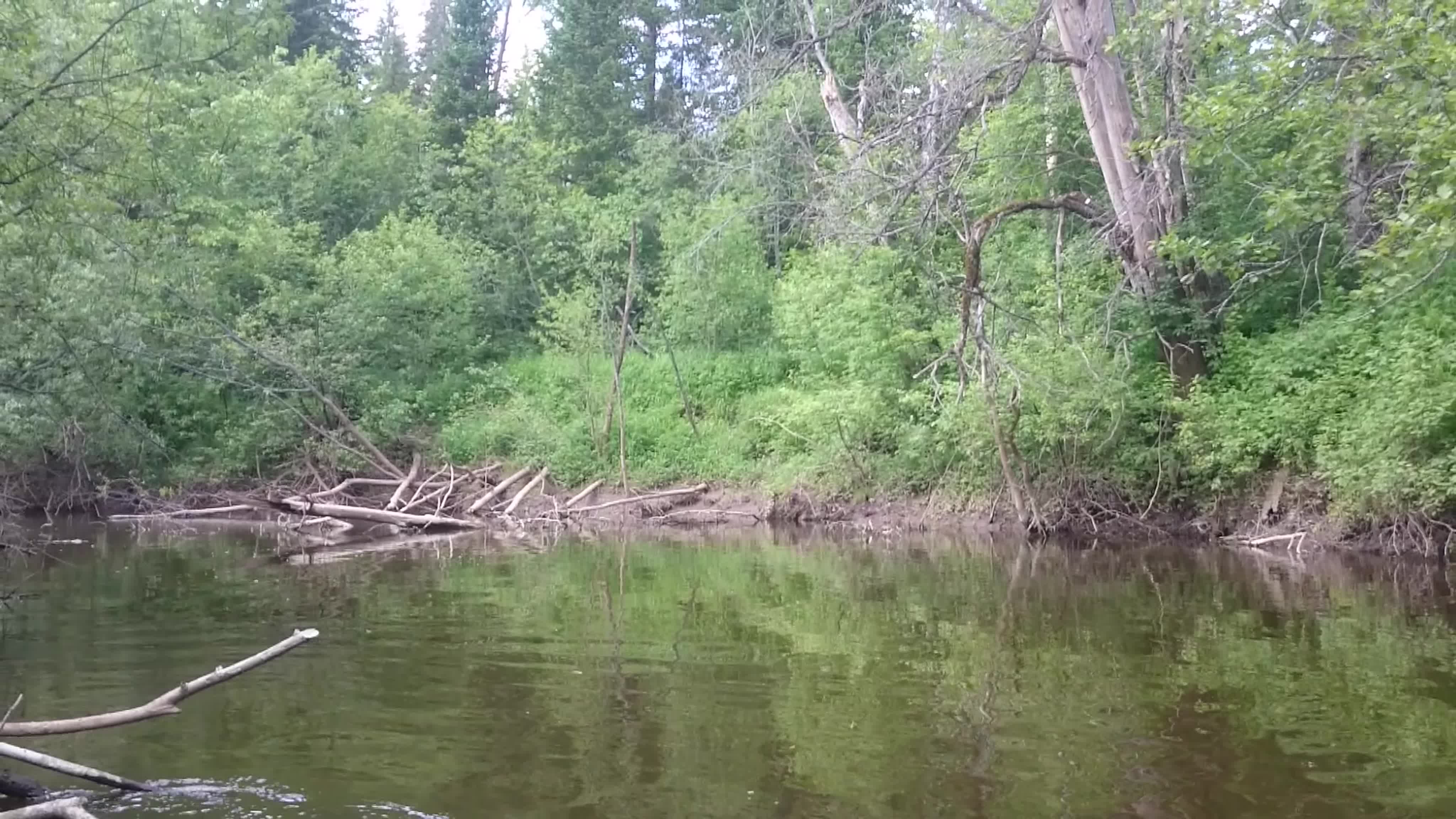 Река Гайва