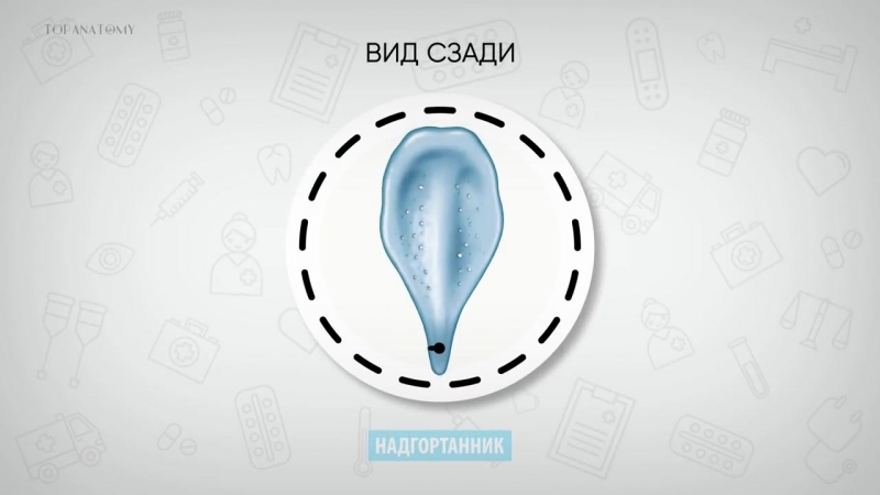 Фильмы
