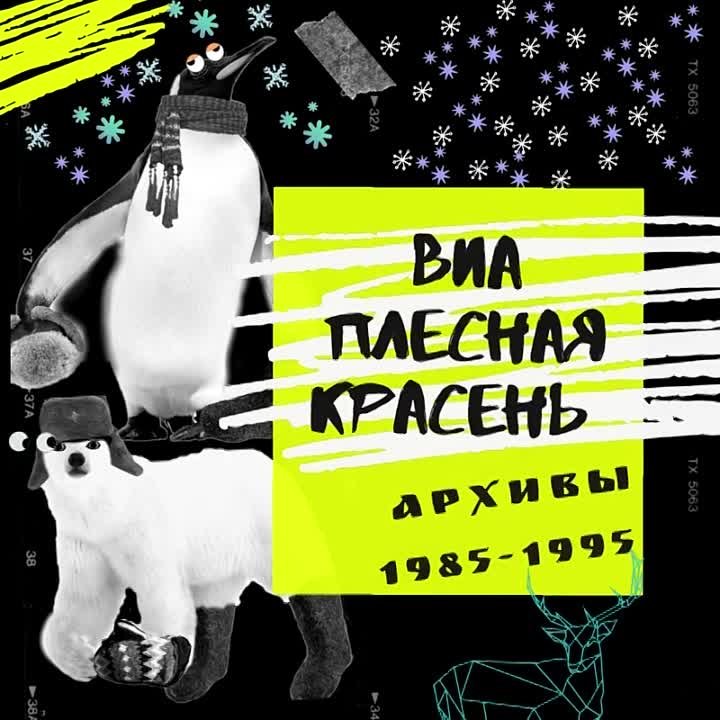 Архив студия Плесная Красень