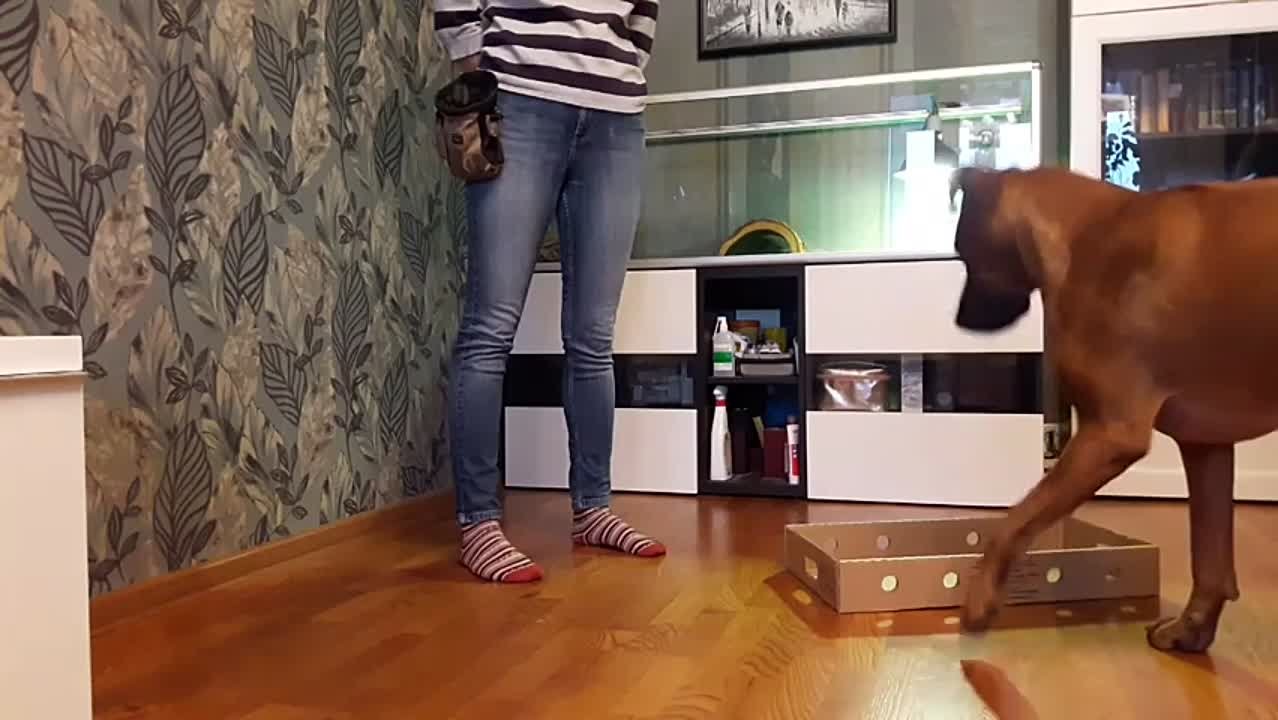 Со стены