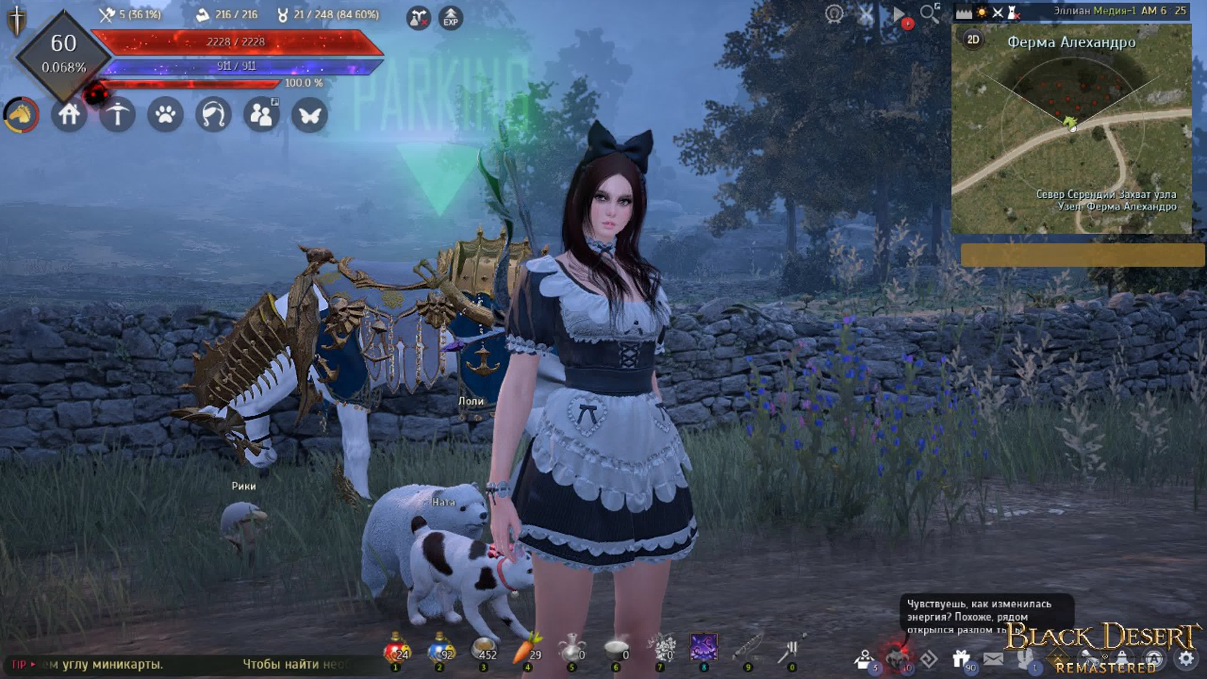Black Desert