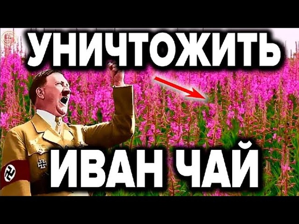 Иван-чай Русский чай!!! Чайная церемония в русских традициях...