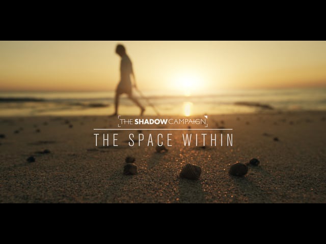 The Shadow Campaign