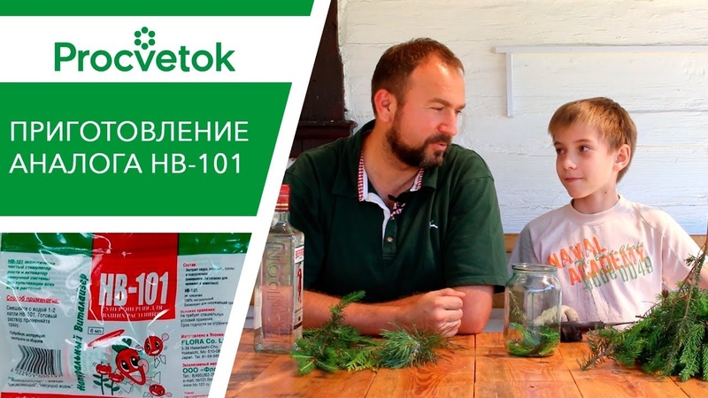 вредители растений