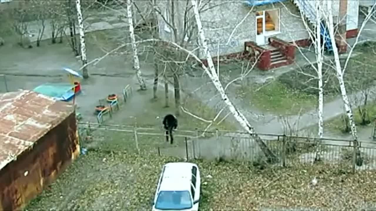Приколы с людьми