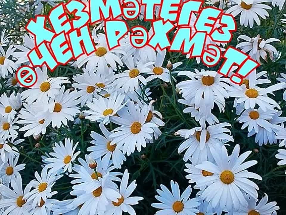 С Праздником!