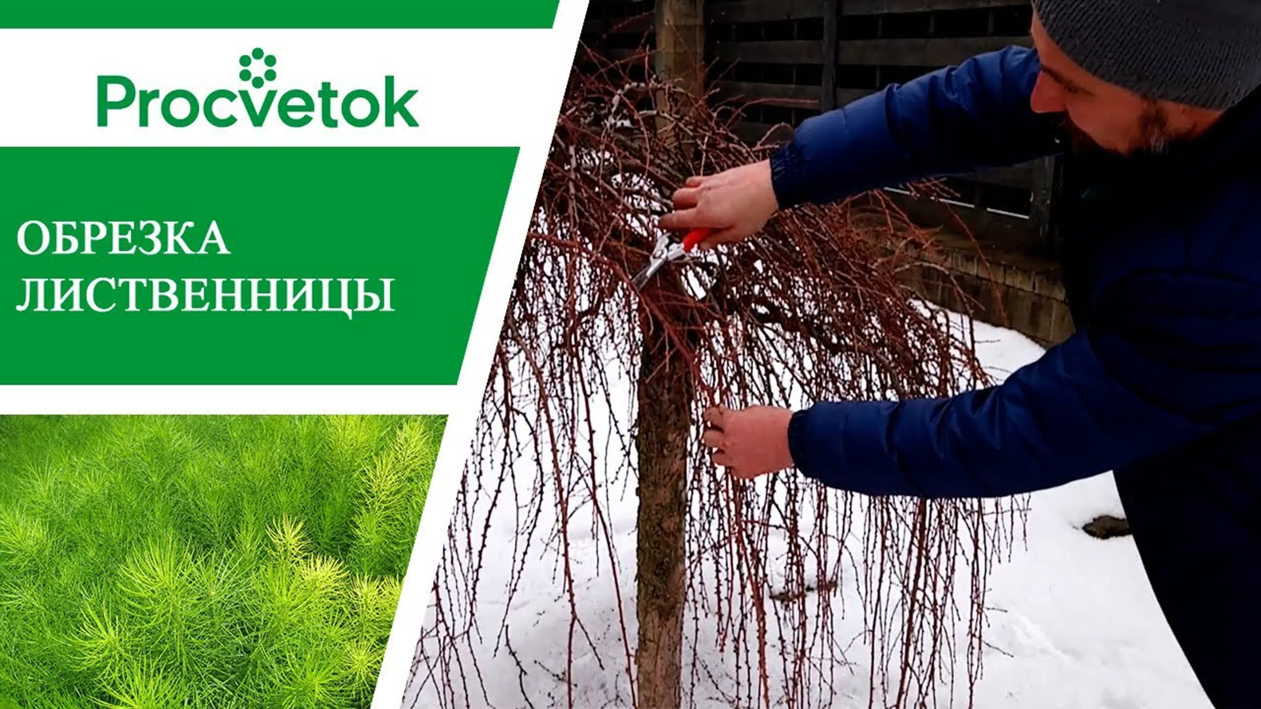 Александр Романюк