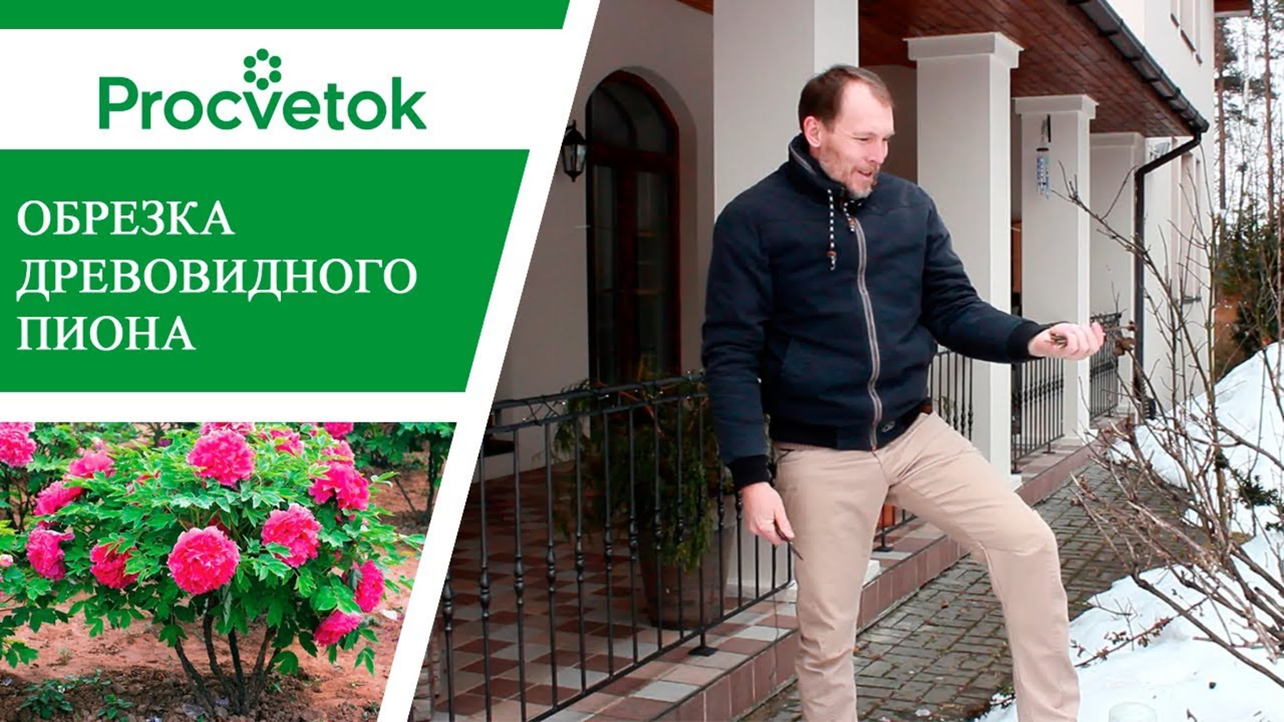 Олег Елисеев