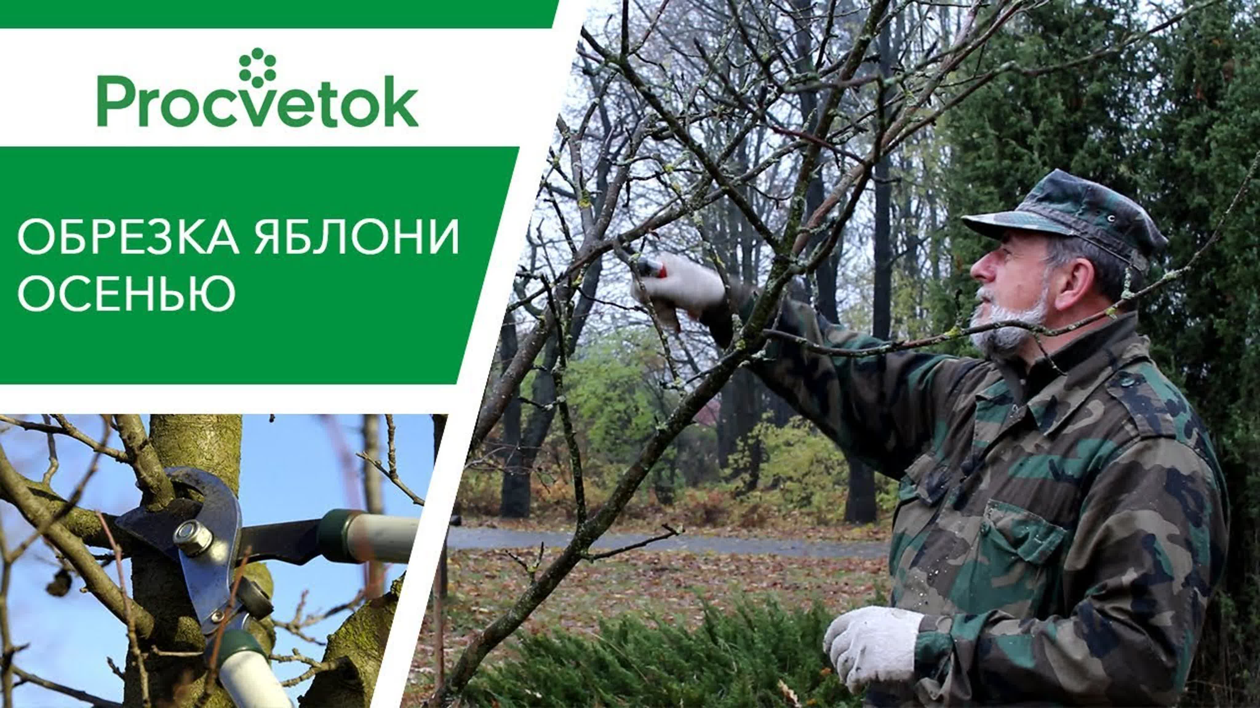Михаил Рудевич
