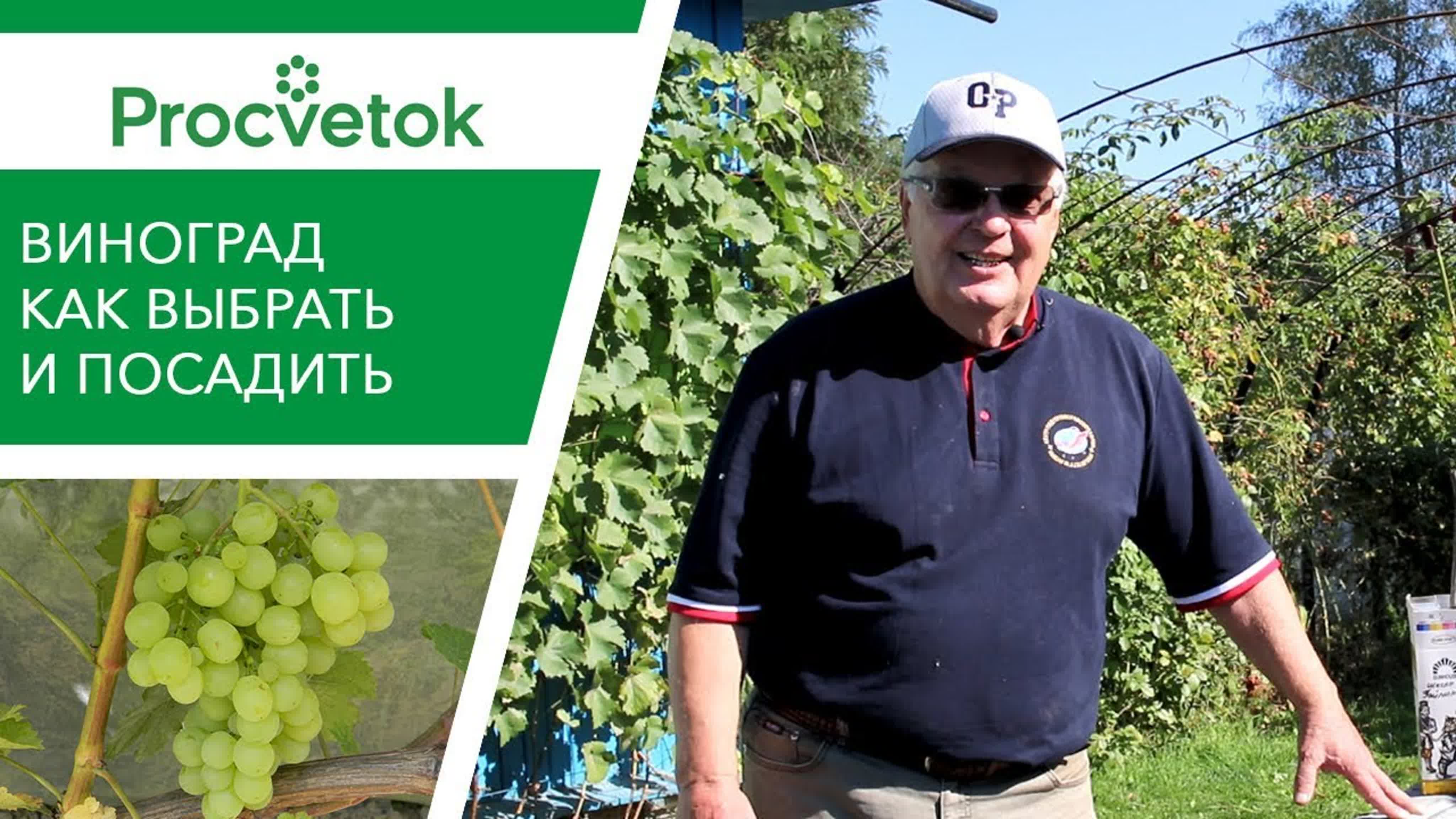 Валерий Помельников