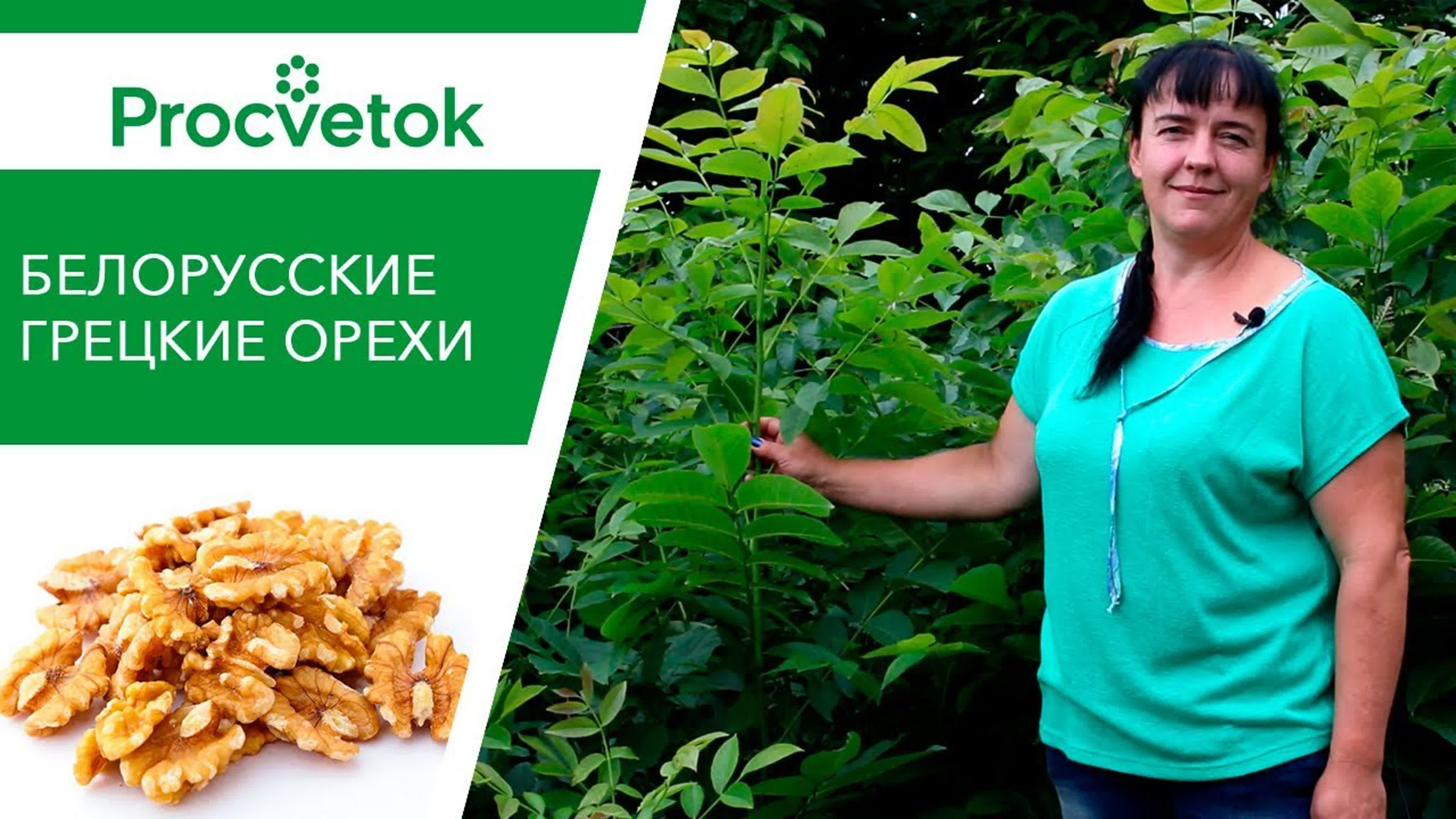 Светлана Сотникова