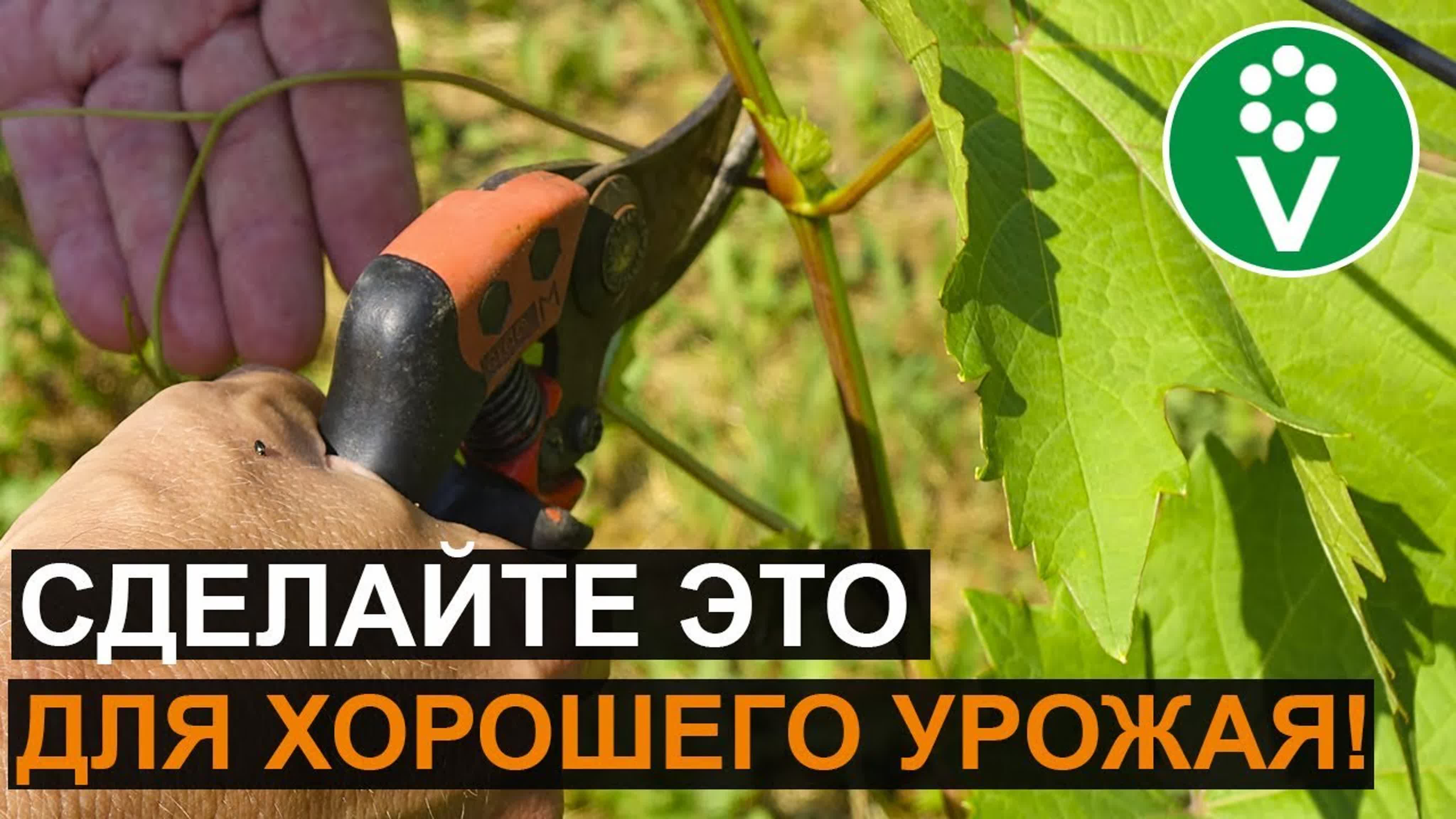 Владимир Устинов