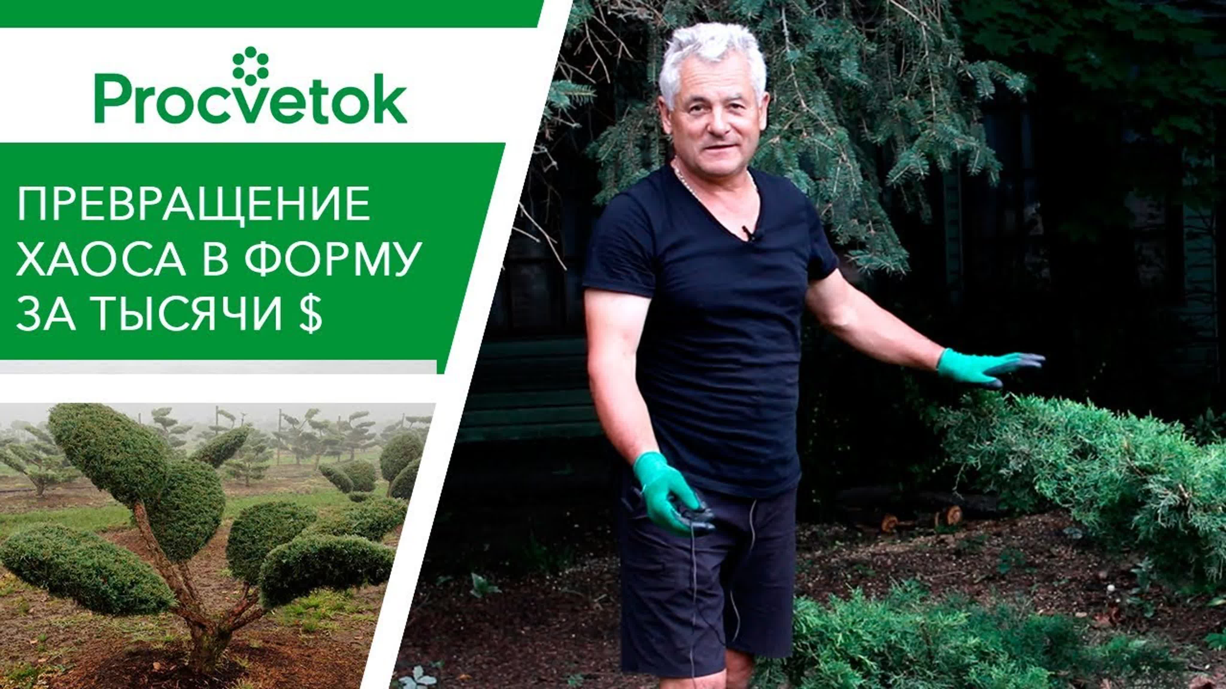 Константин Шишко