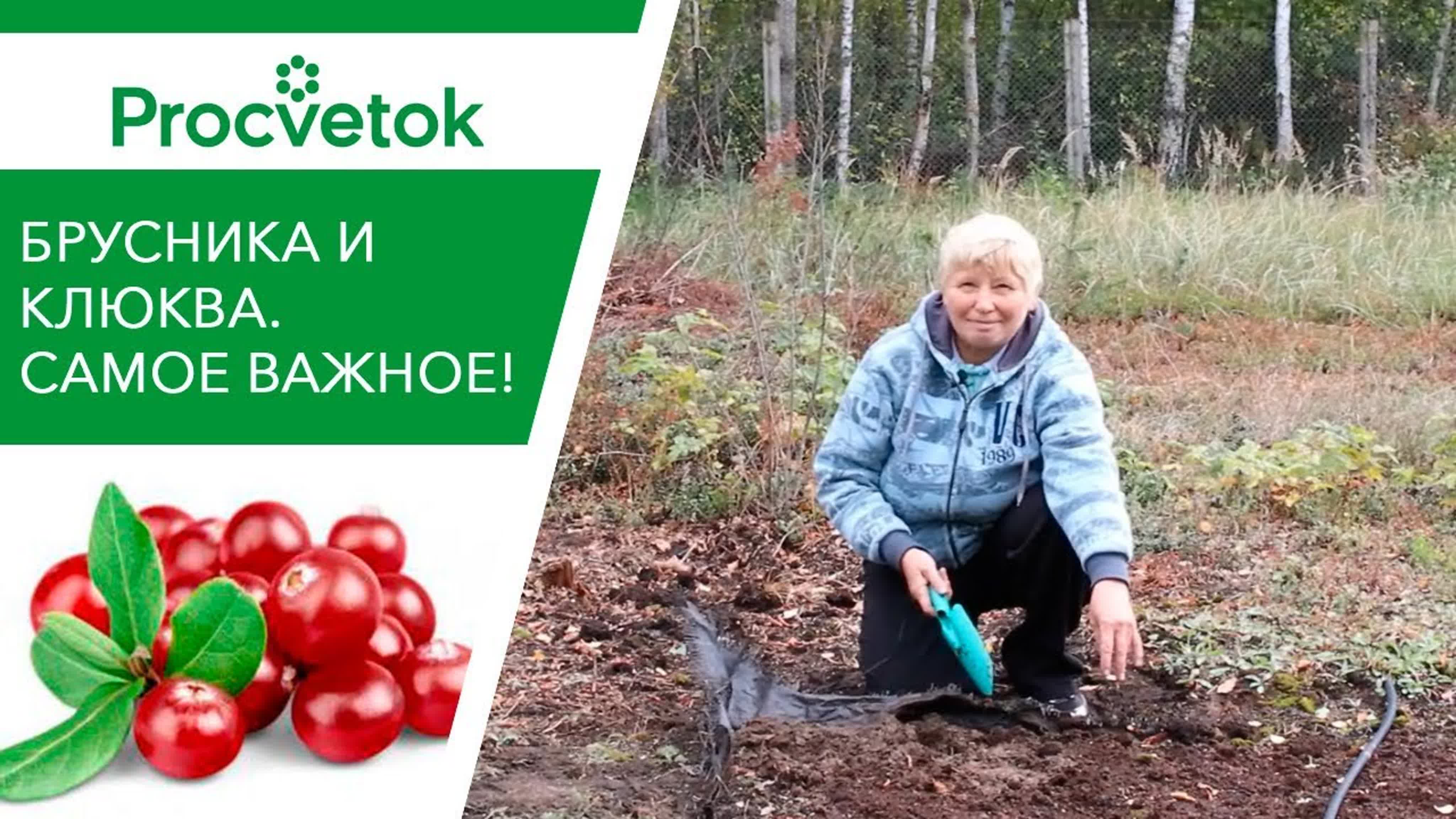 Татьяна Курлович