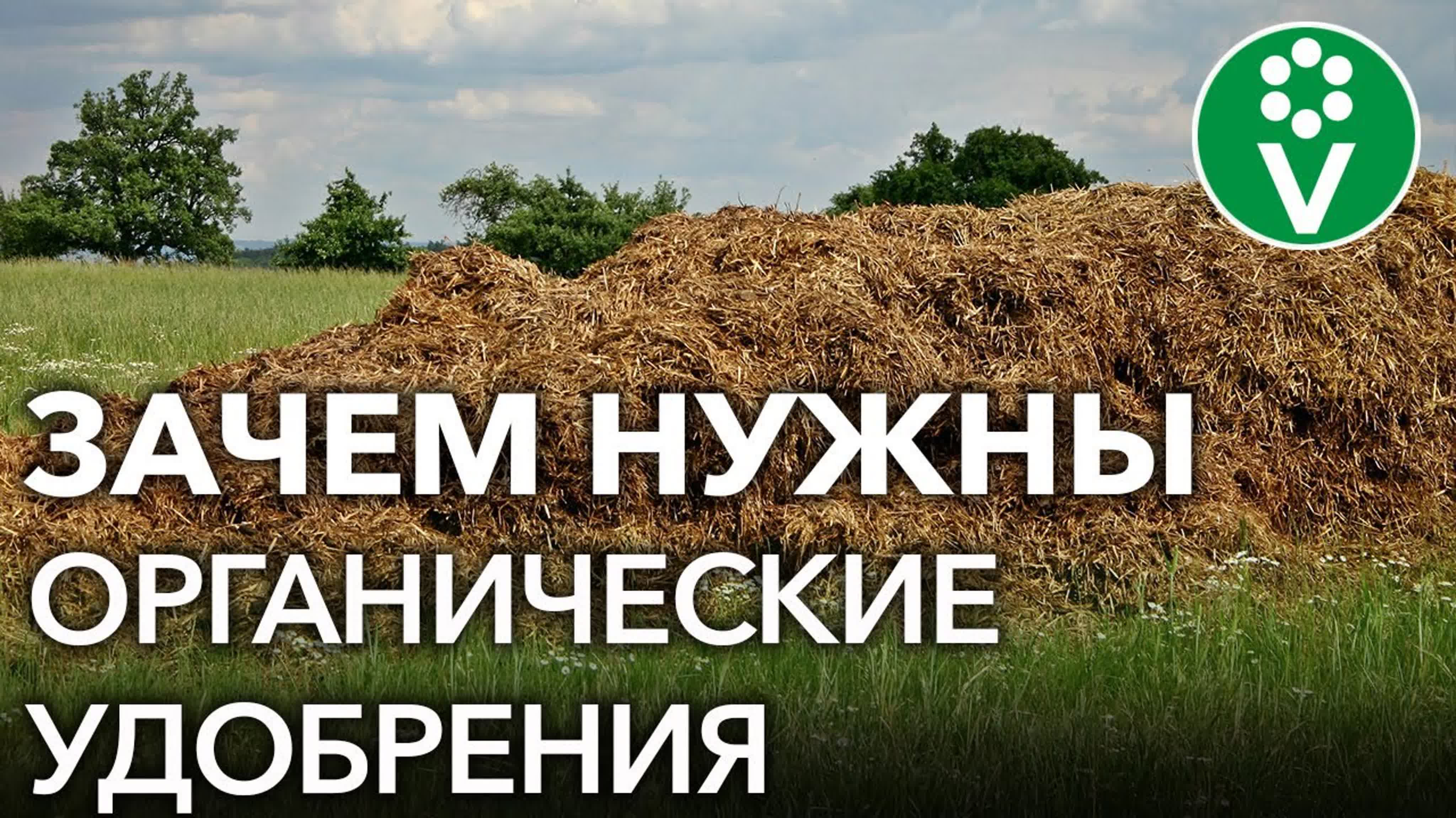 Алексей Борисов