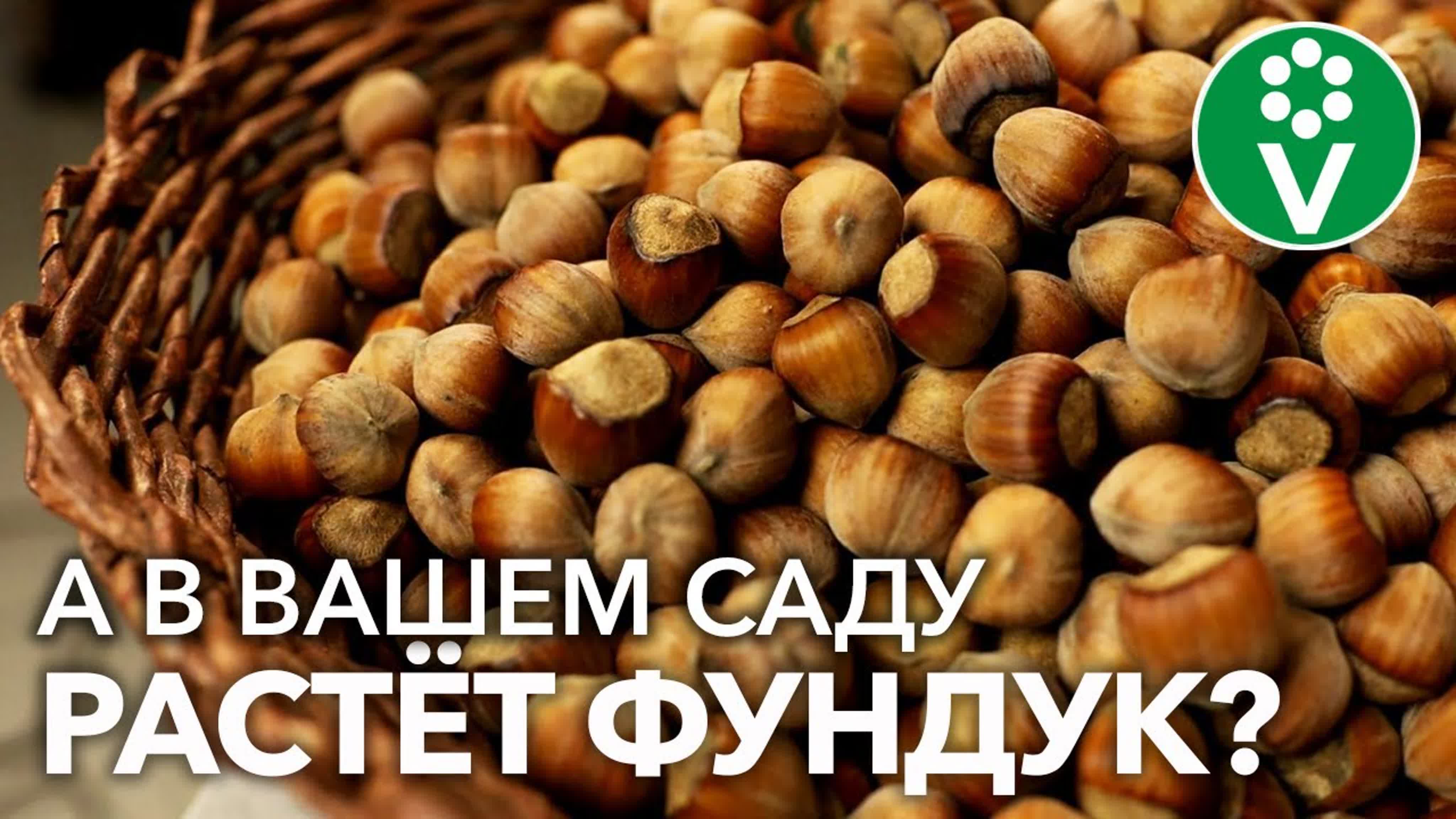 Алексей Мартинкевич