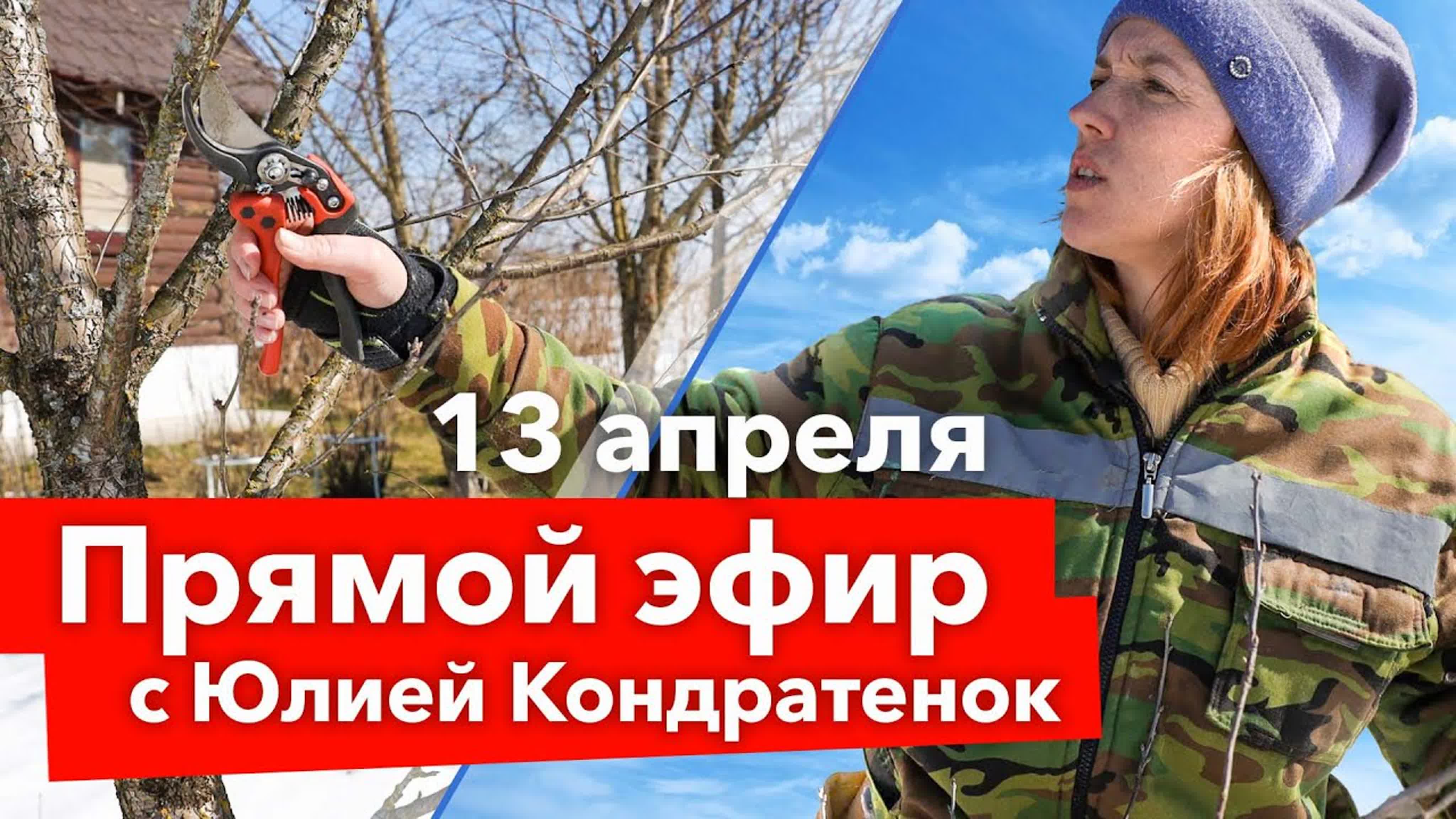 Прямые эфиры