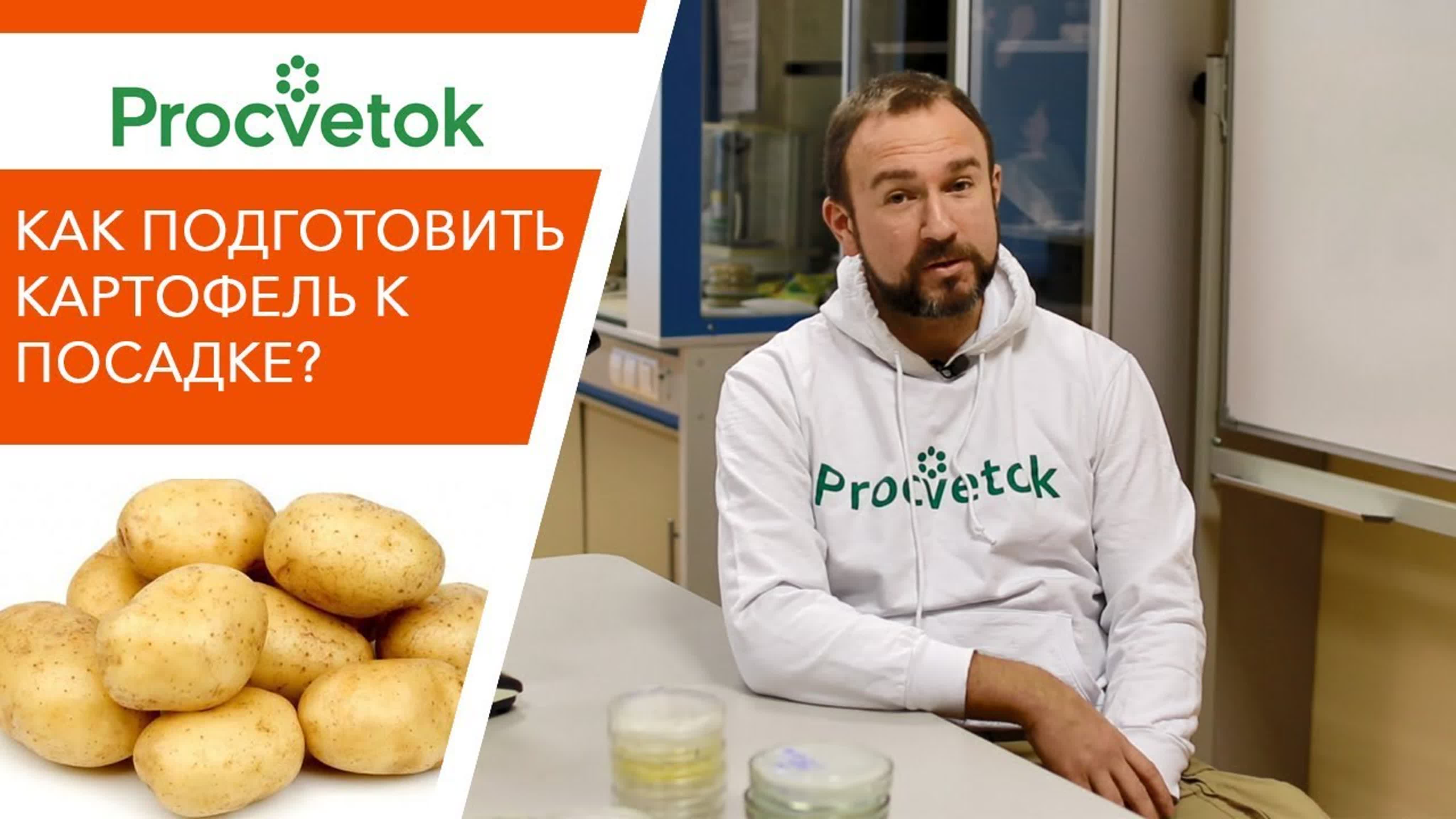 КАРТОФЕЛЬ