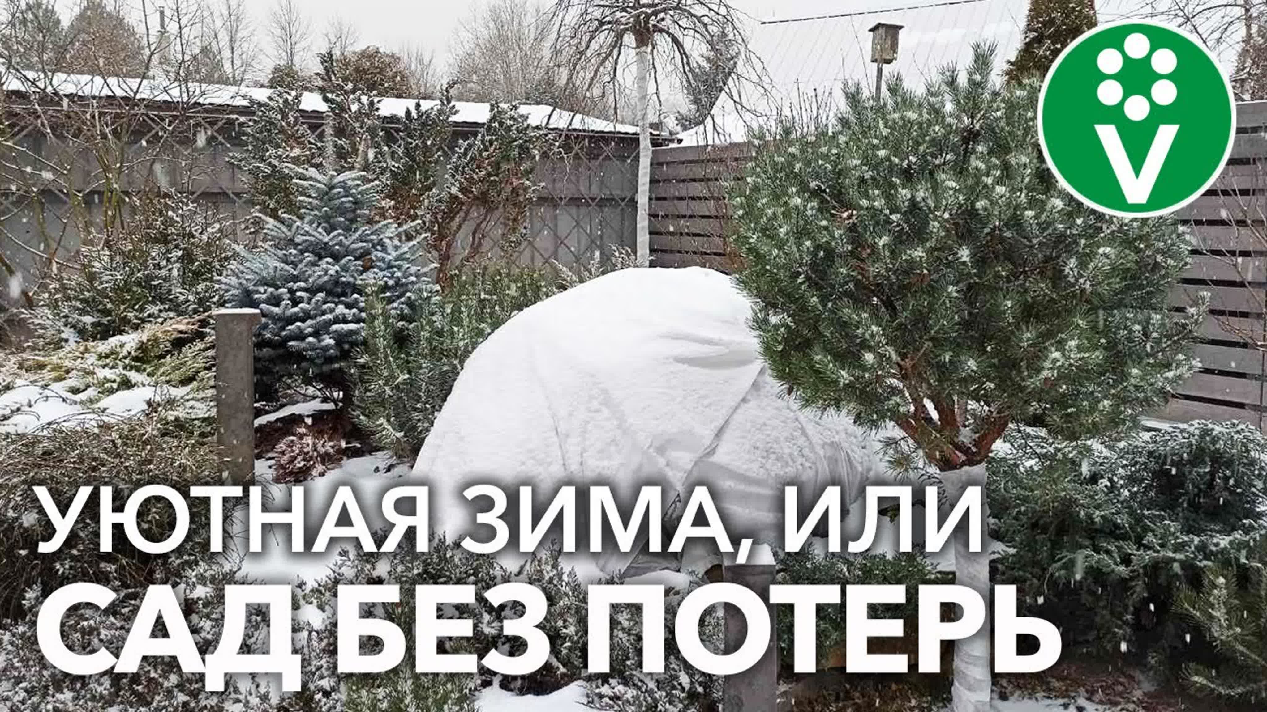 Вероника Артишевская