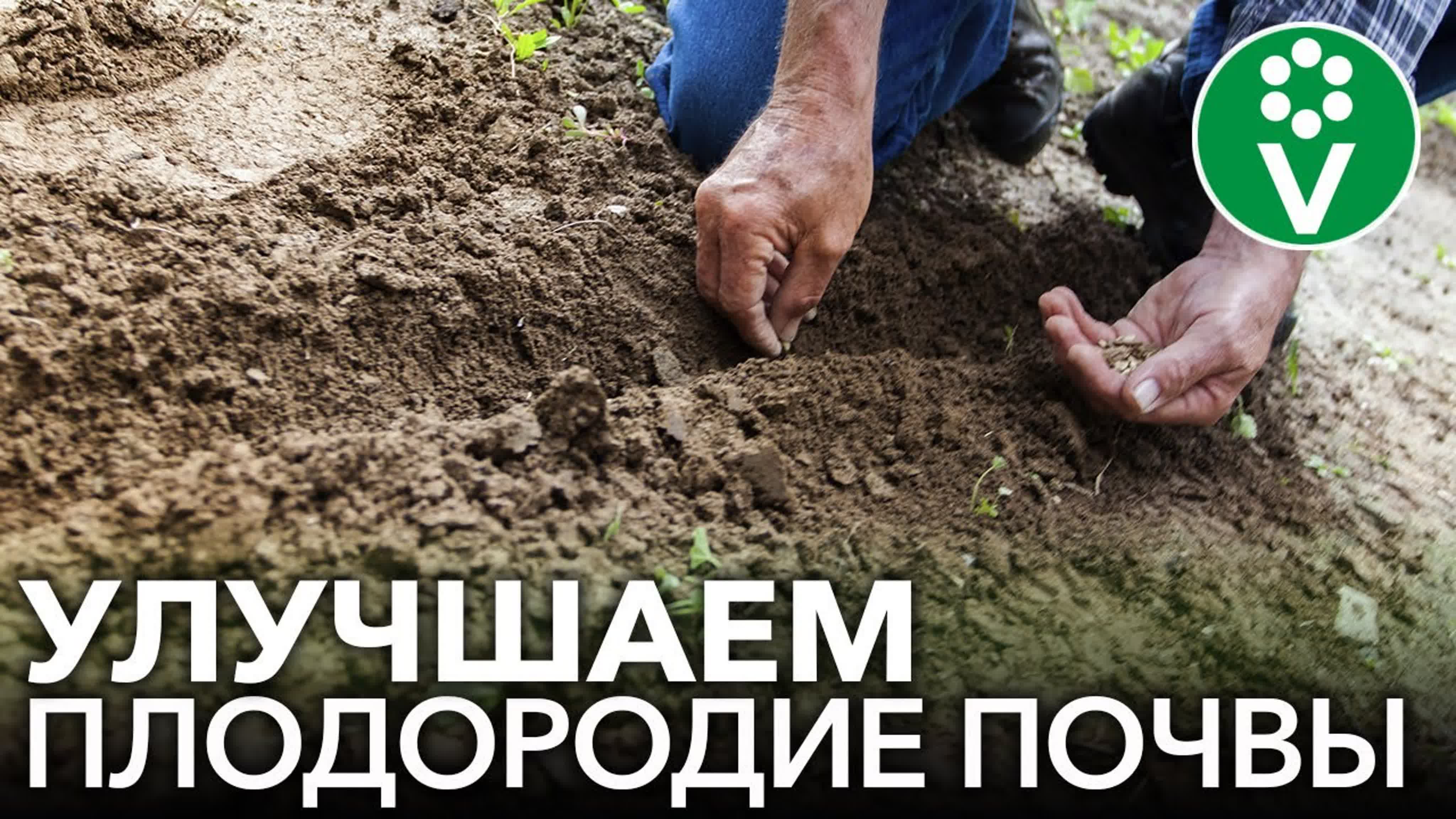 Тамара Рябцева