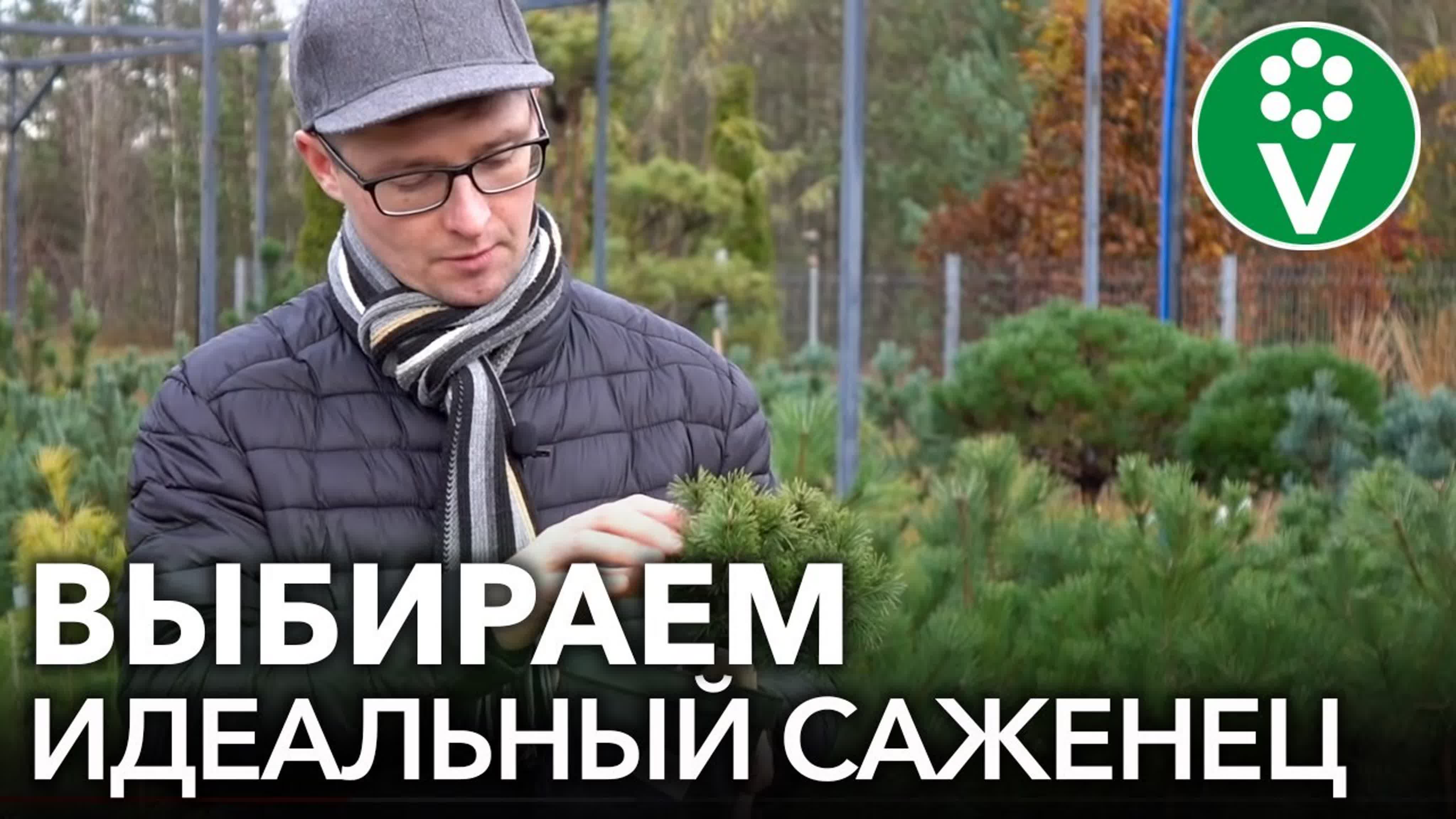Сергей Праходский
