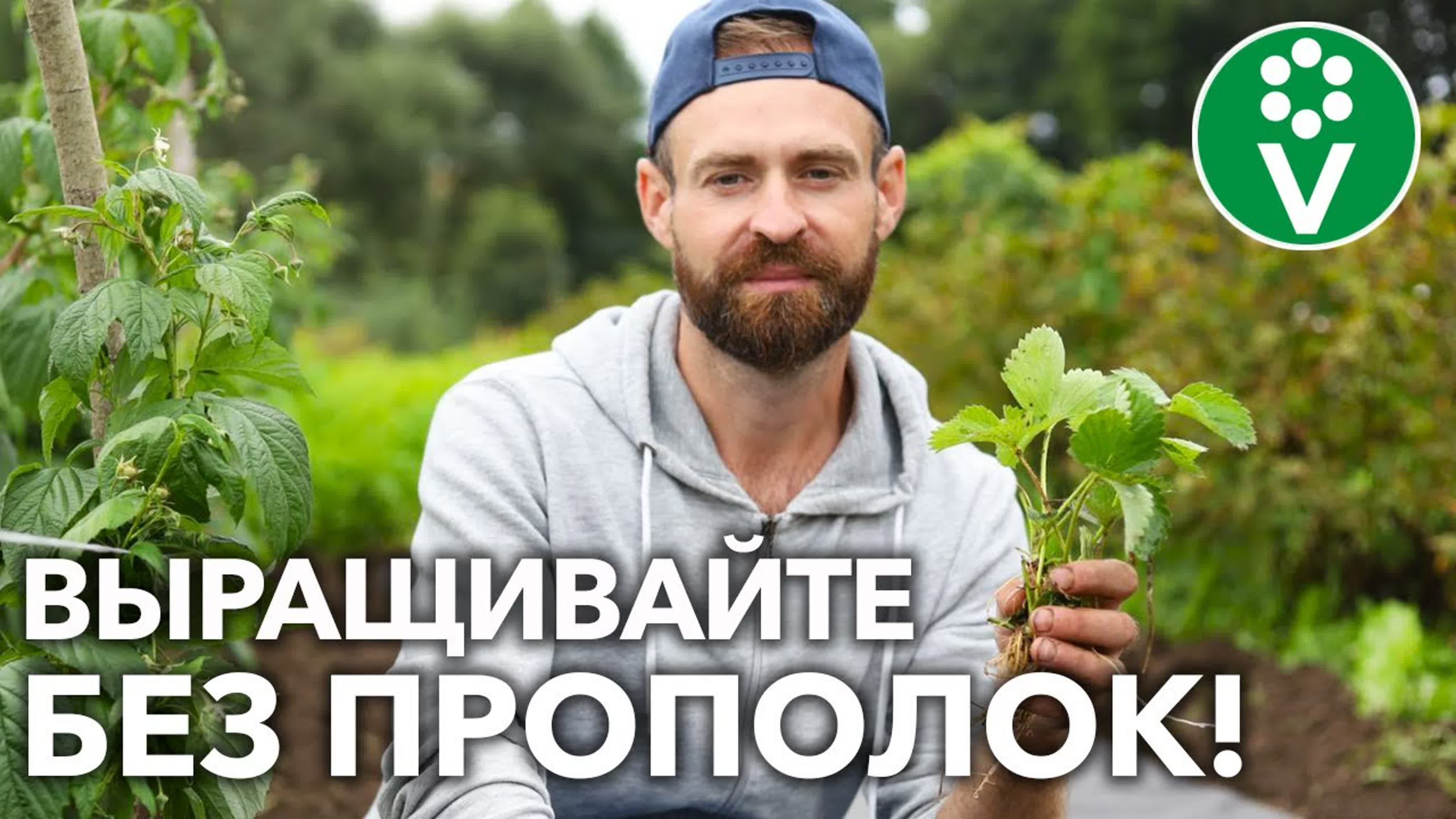 Дмитрий Кастрицкий