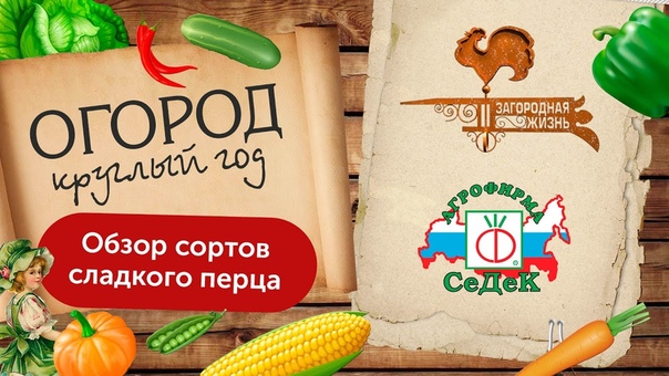 ОГОРОД КРУГЛЫЙ ГОД