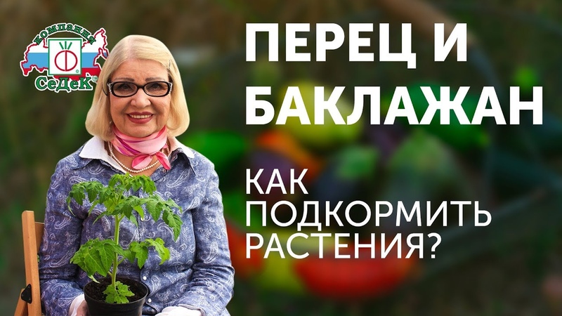 СОВЕТЫ ОТ ОКТЯБРИНЫ ГАНИЧКИНОЙ