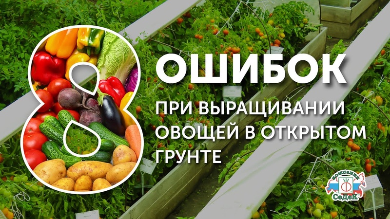 8 ОШИБОК ОГОРОДНИКА