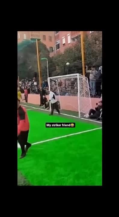 Приколы