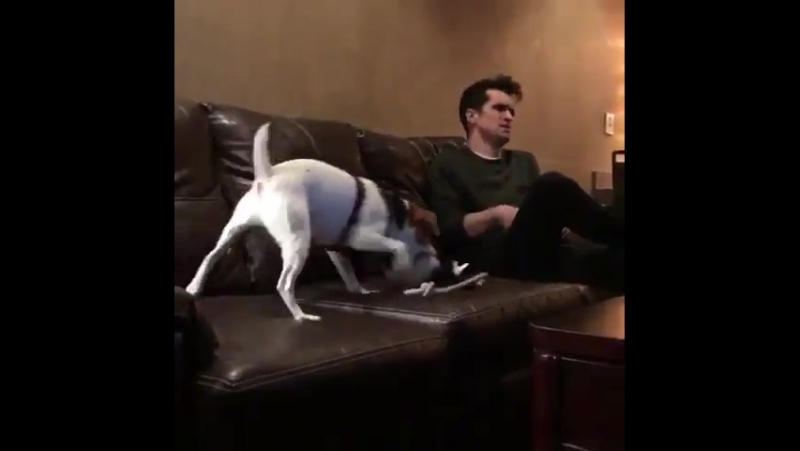 DOAB OH