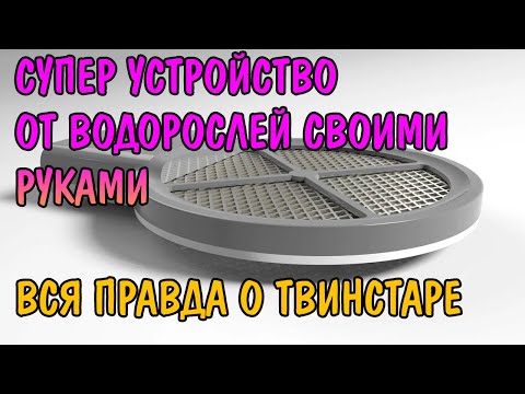 Водоросли и борьба с ними